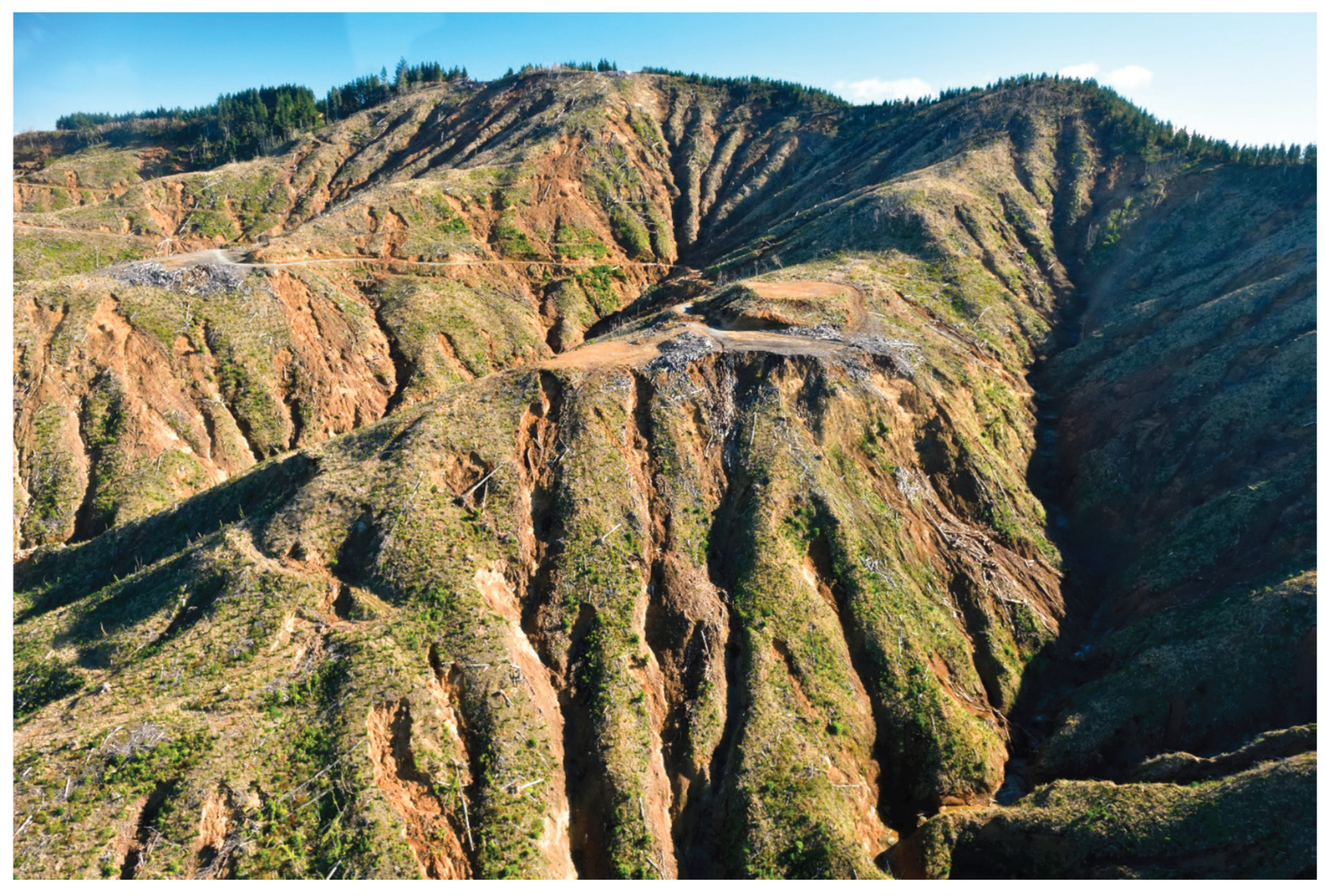 Preprints 188712 g002