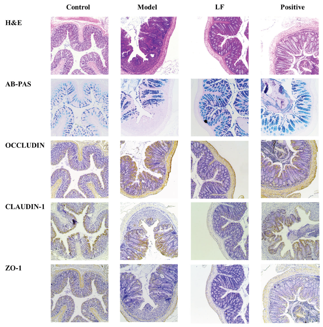 Preprints 193476 g003