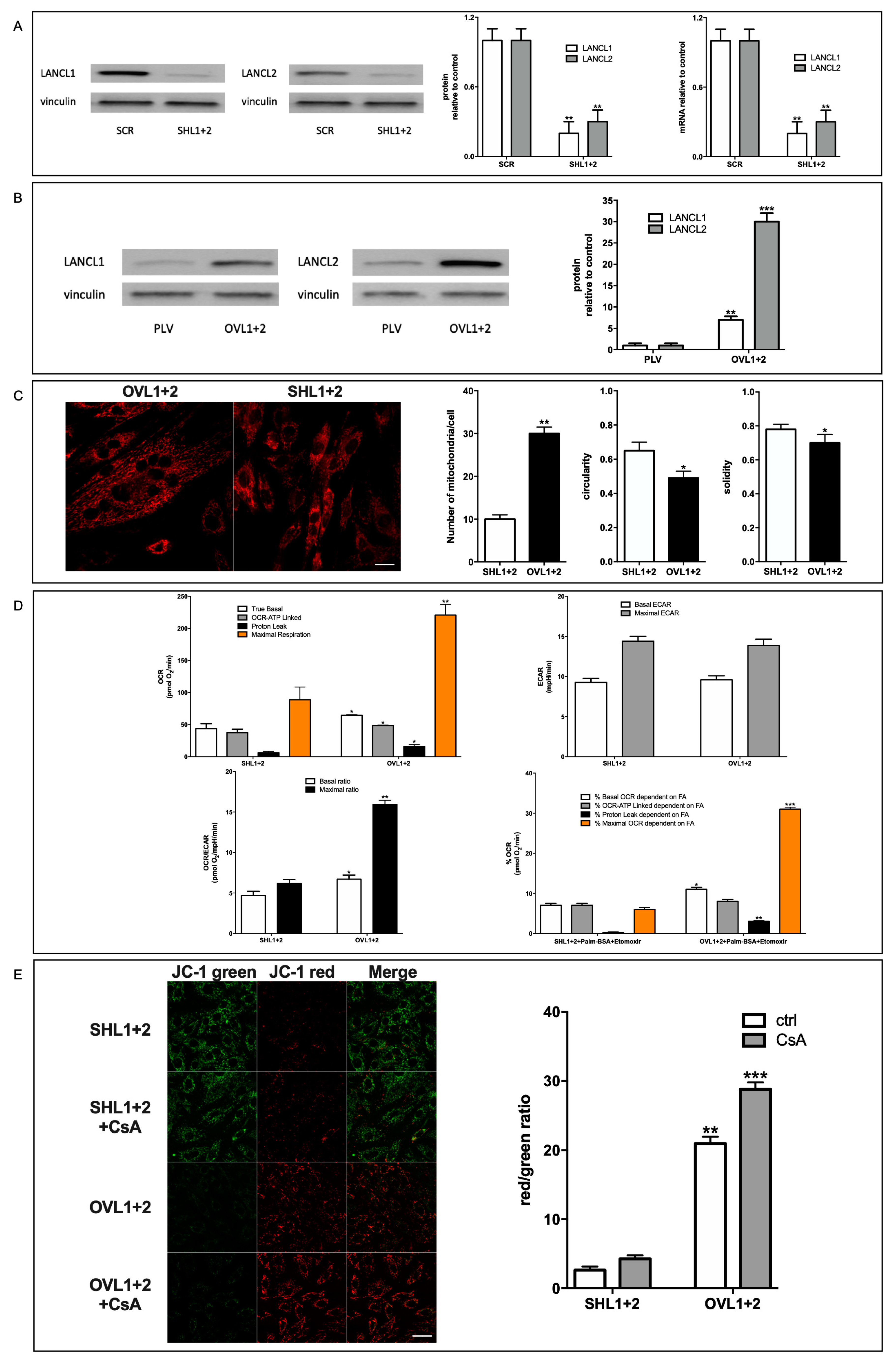 Preprints 81188 g001
