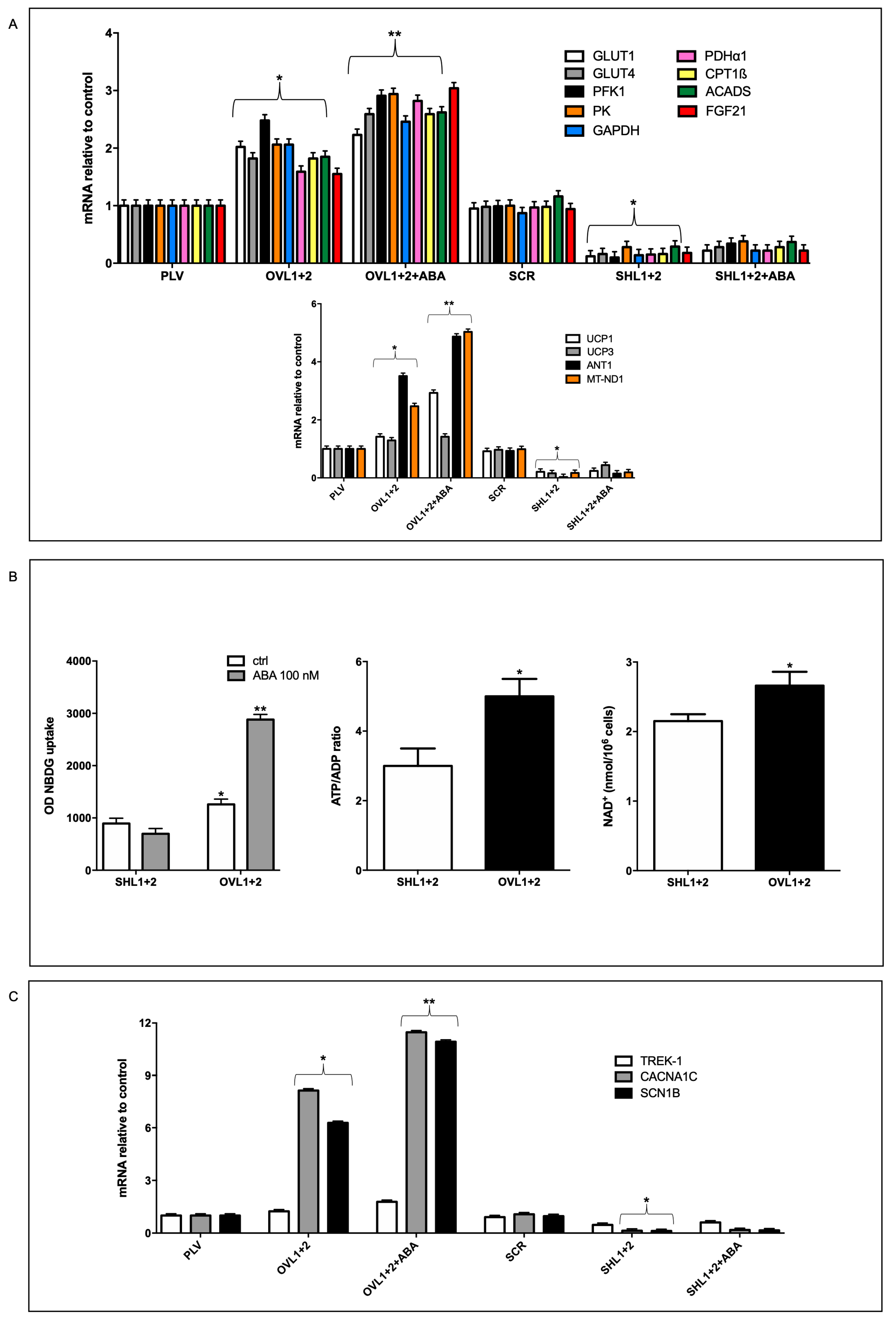 Preprints 81188 g002