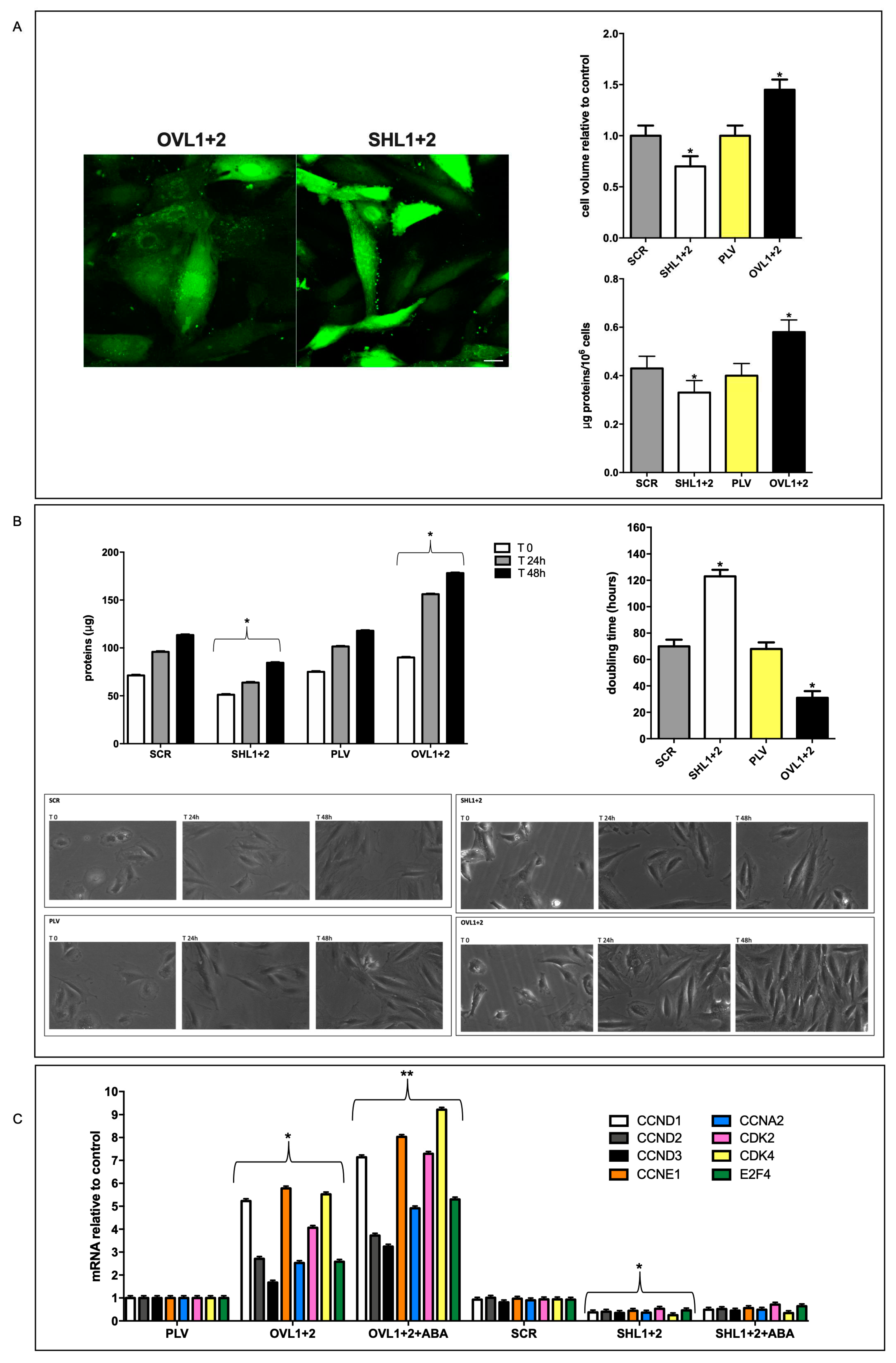 Preprints 81188 g003
