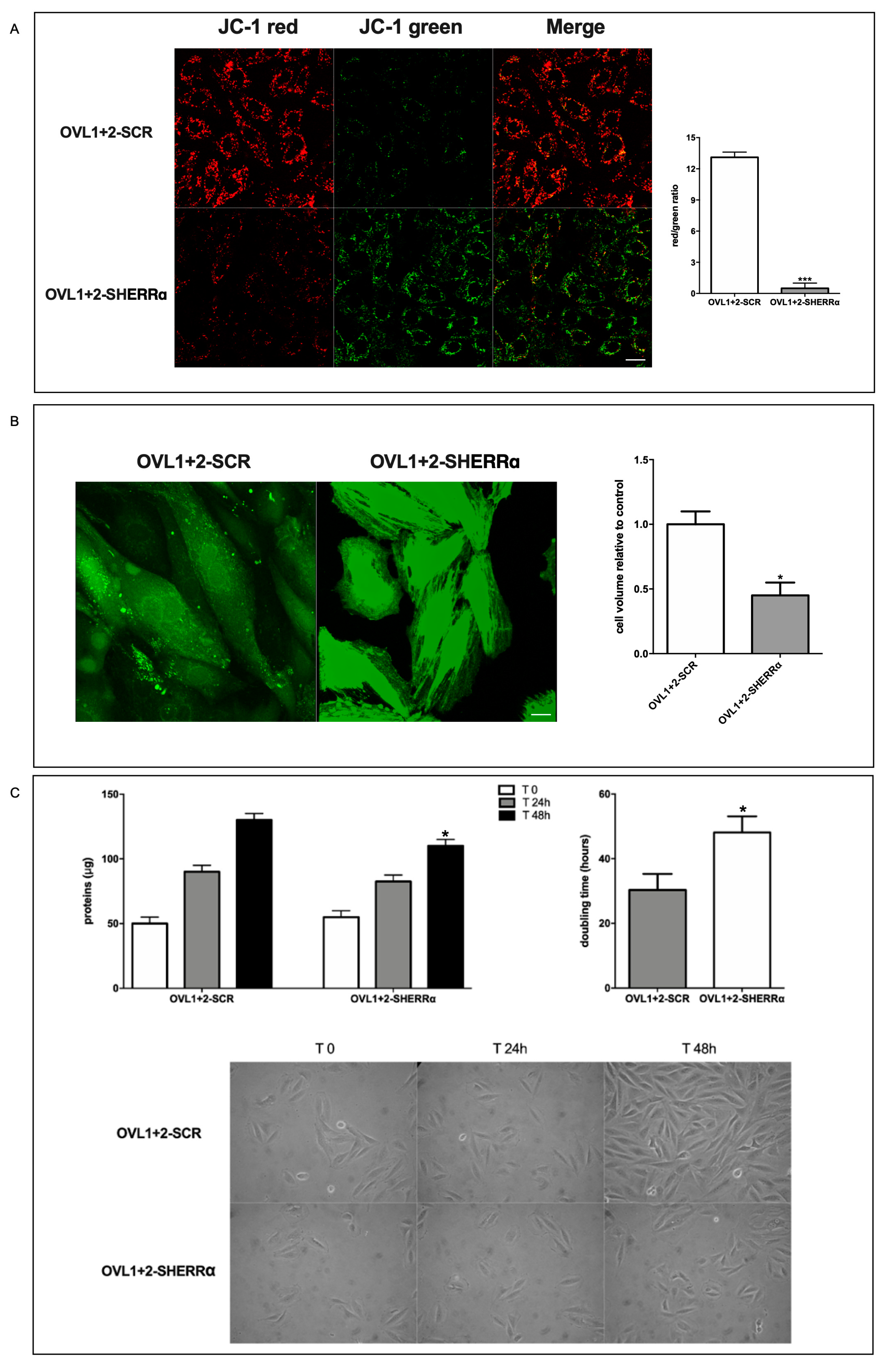 Preprints 81188 g006