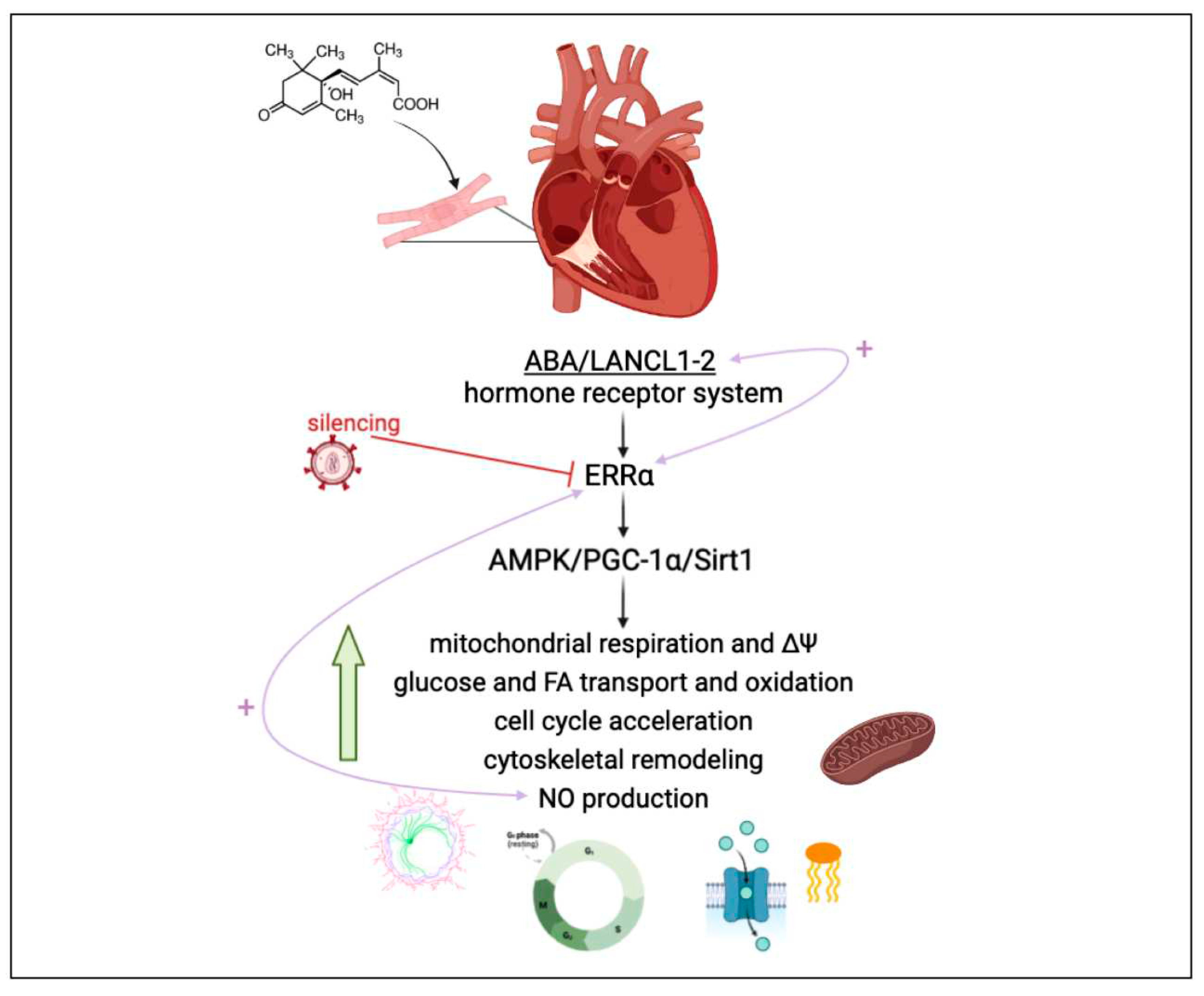 Preprints 81188 g007