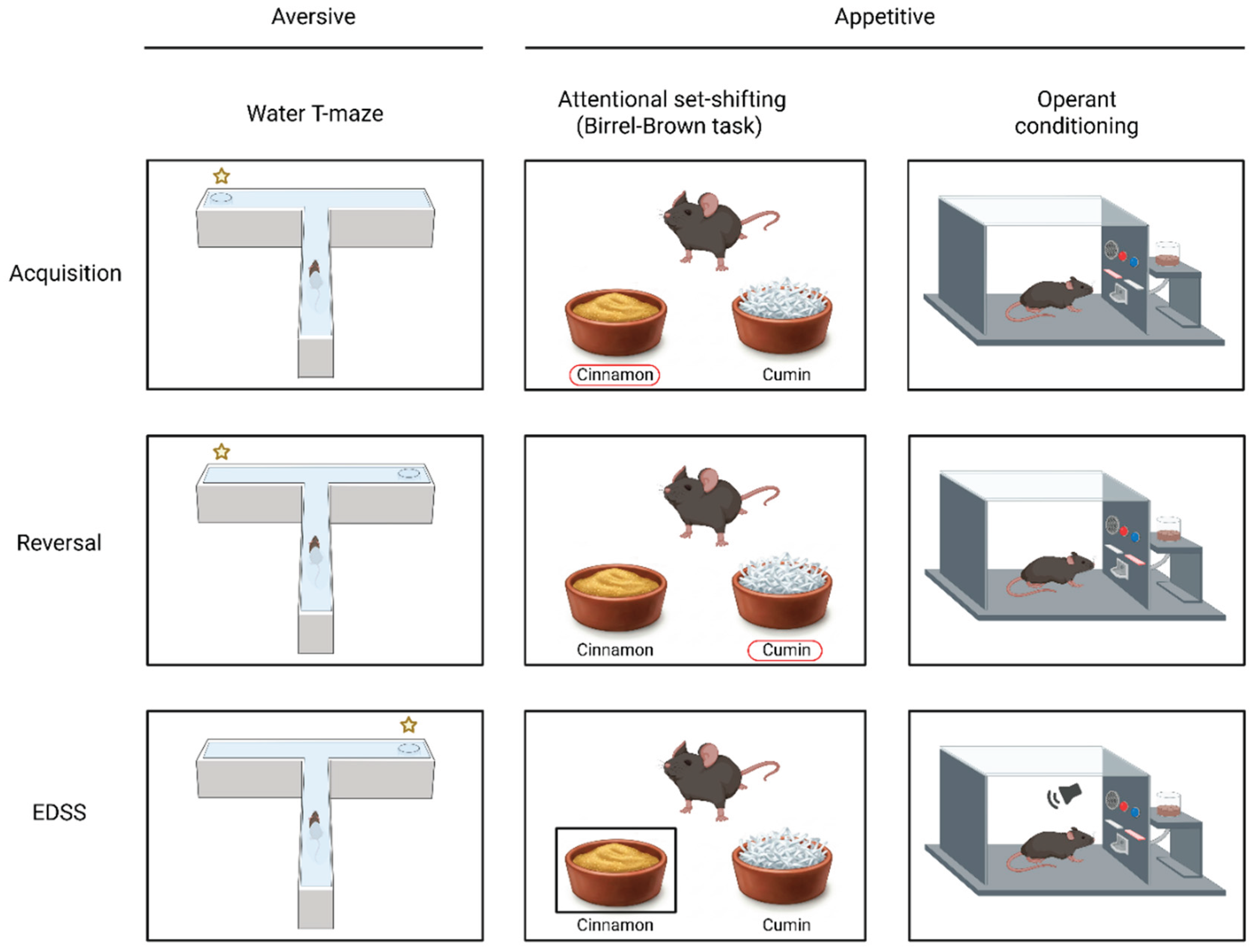 Preprints 164645 g001