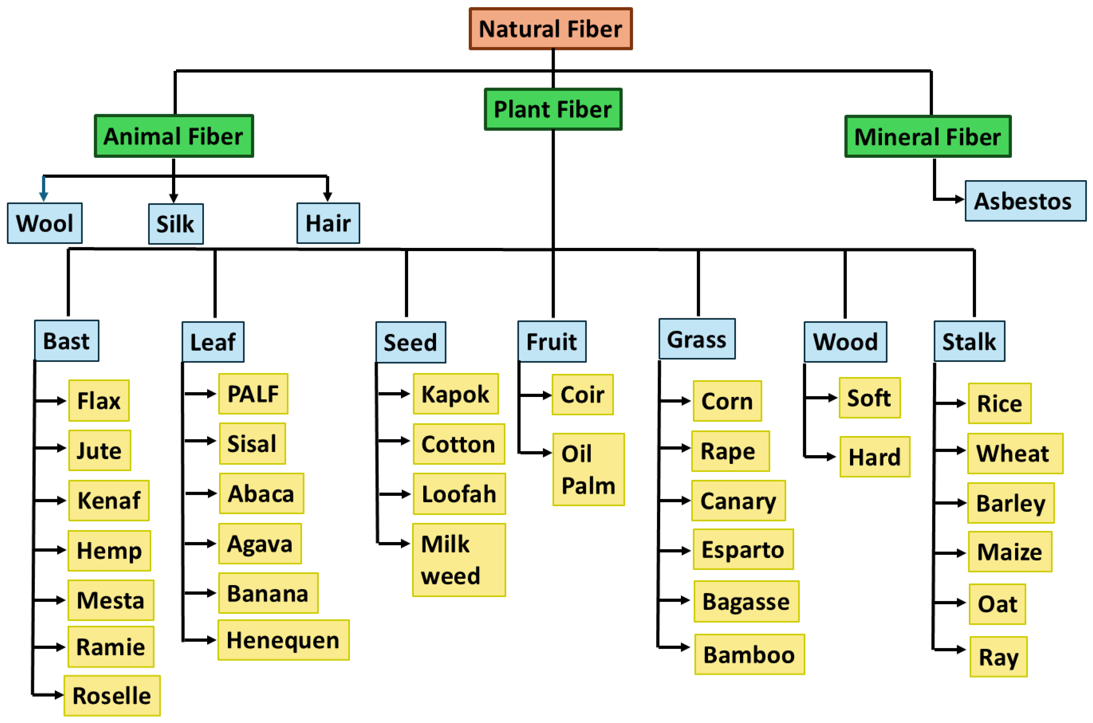Preprints 156053 g001