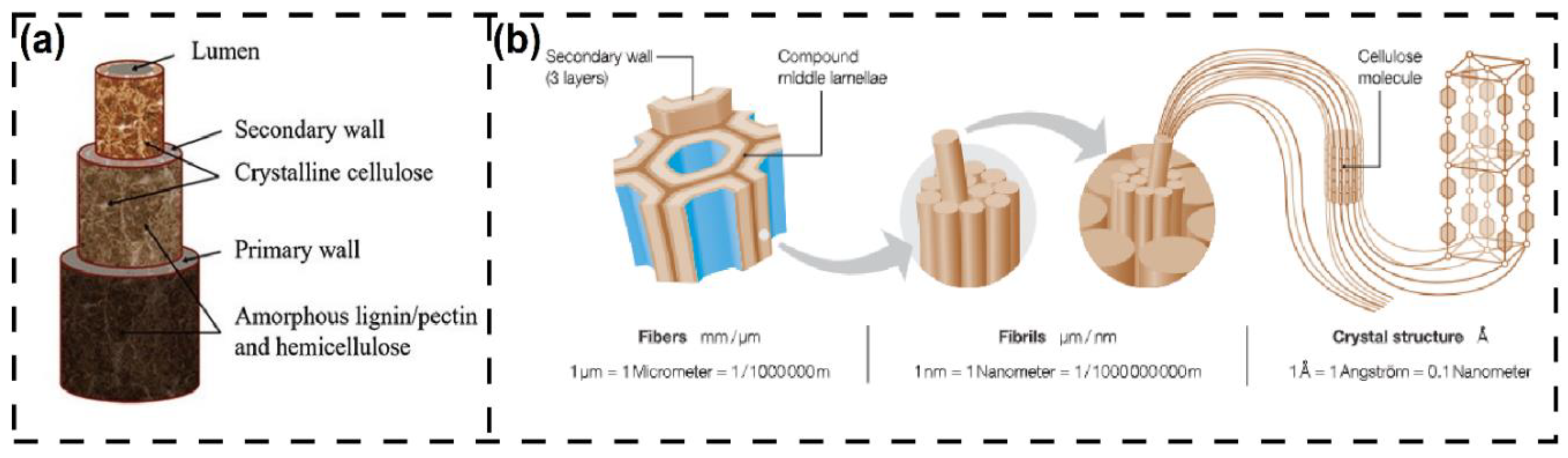 Preprints 156053 g002