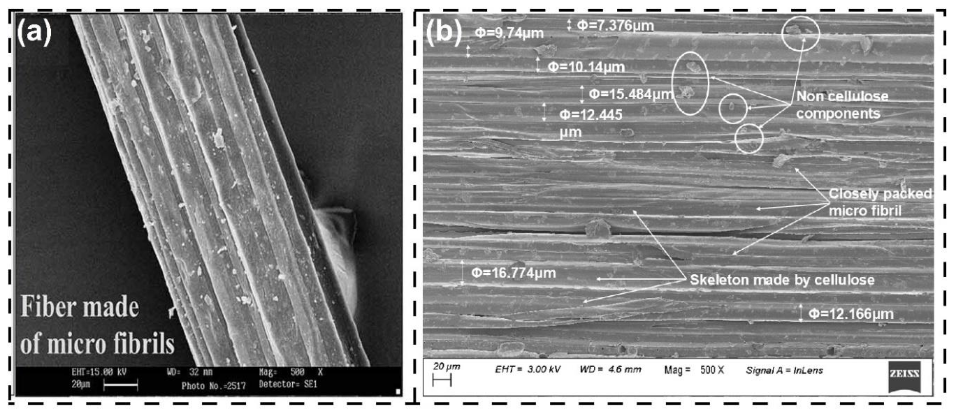 Preprints 156053 g004