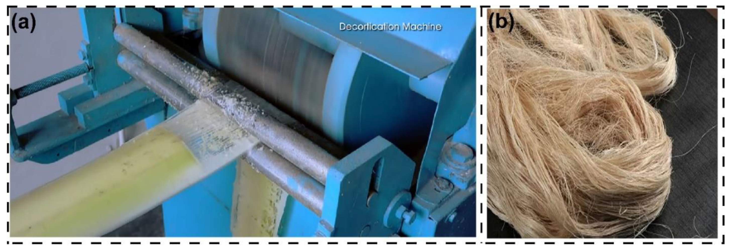 Preprints 156053 g006