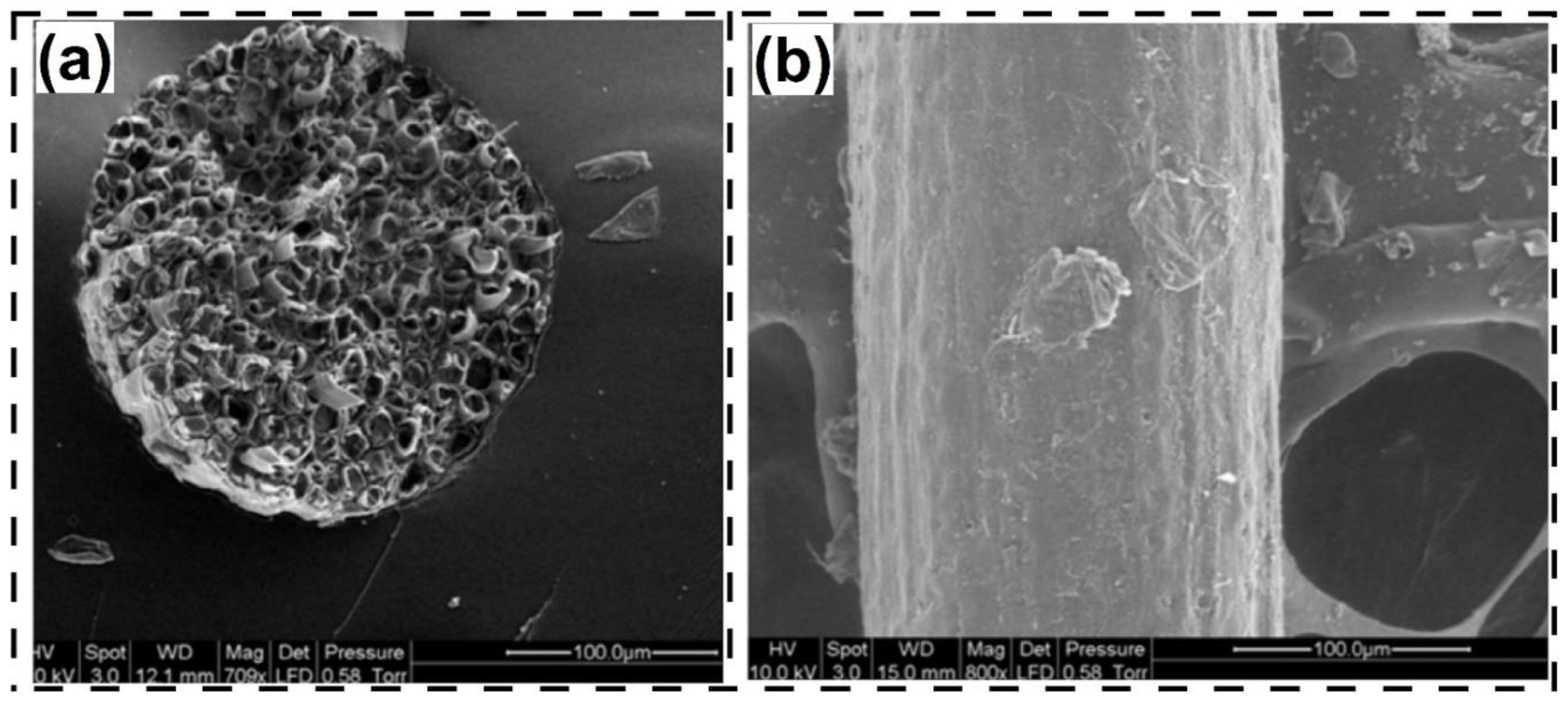 Preprints 156053 g009