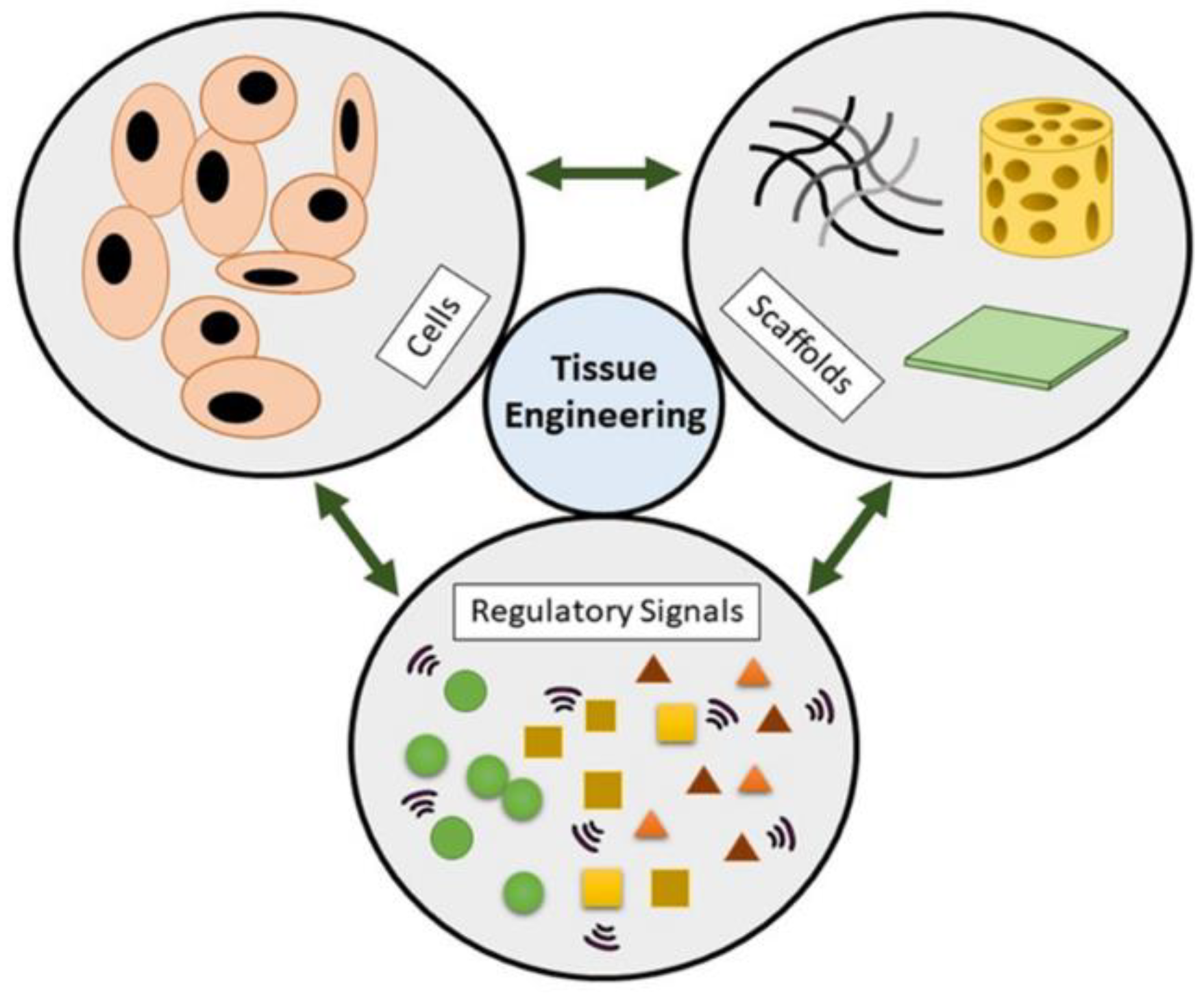 Preprints 143847 g001