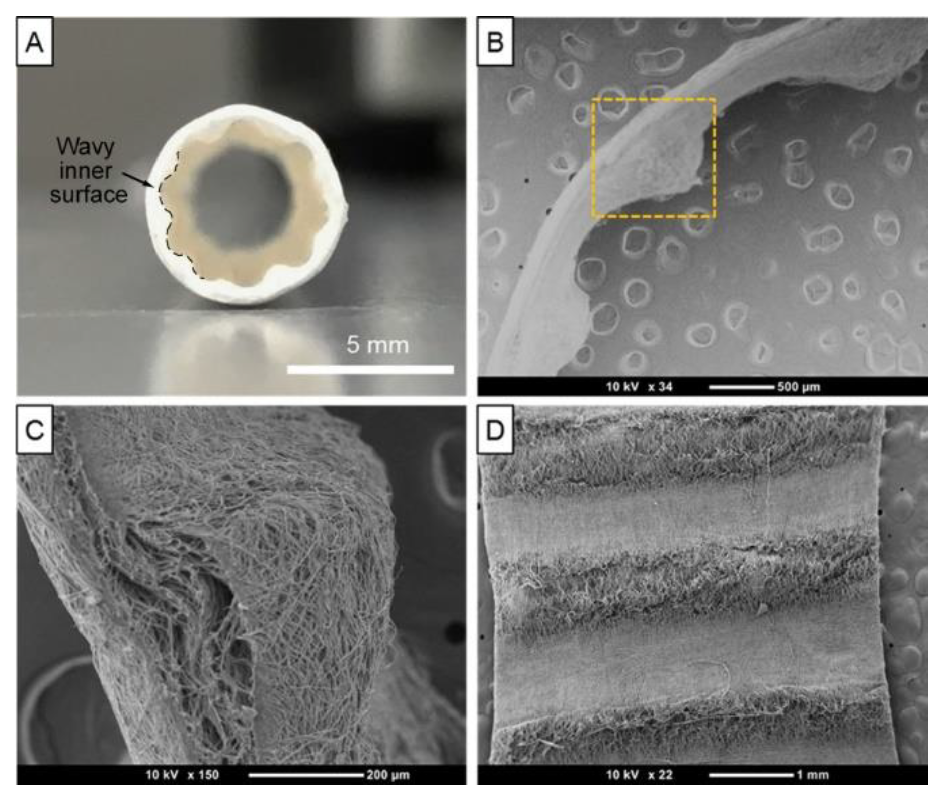Preprints 143847 g011