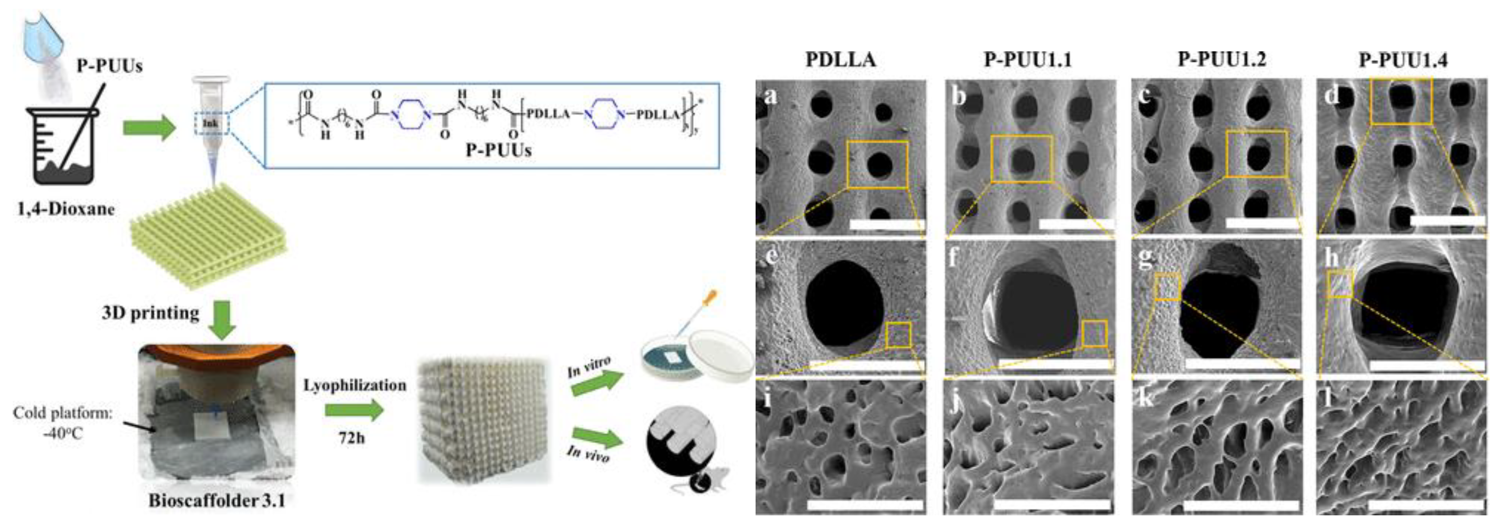 Preprints 143847 g015