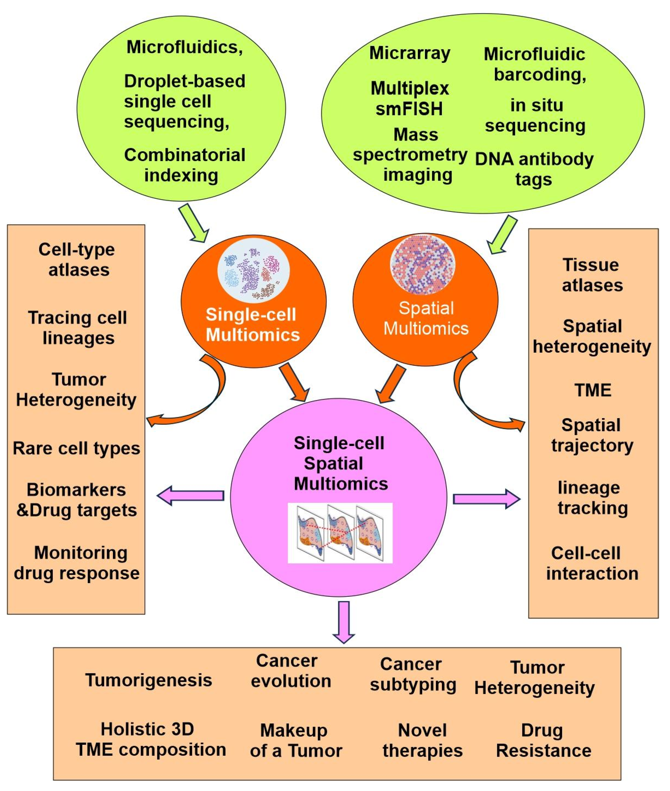 Preprints 180739 g003