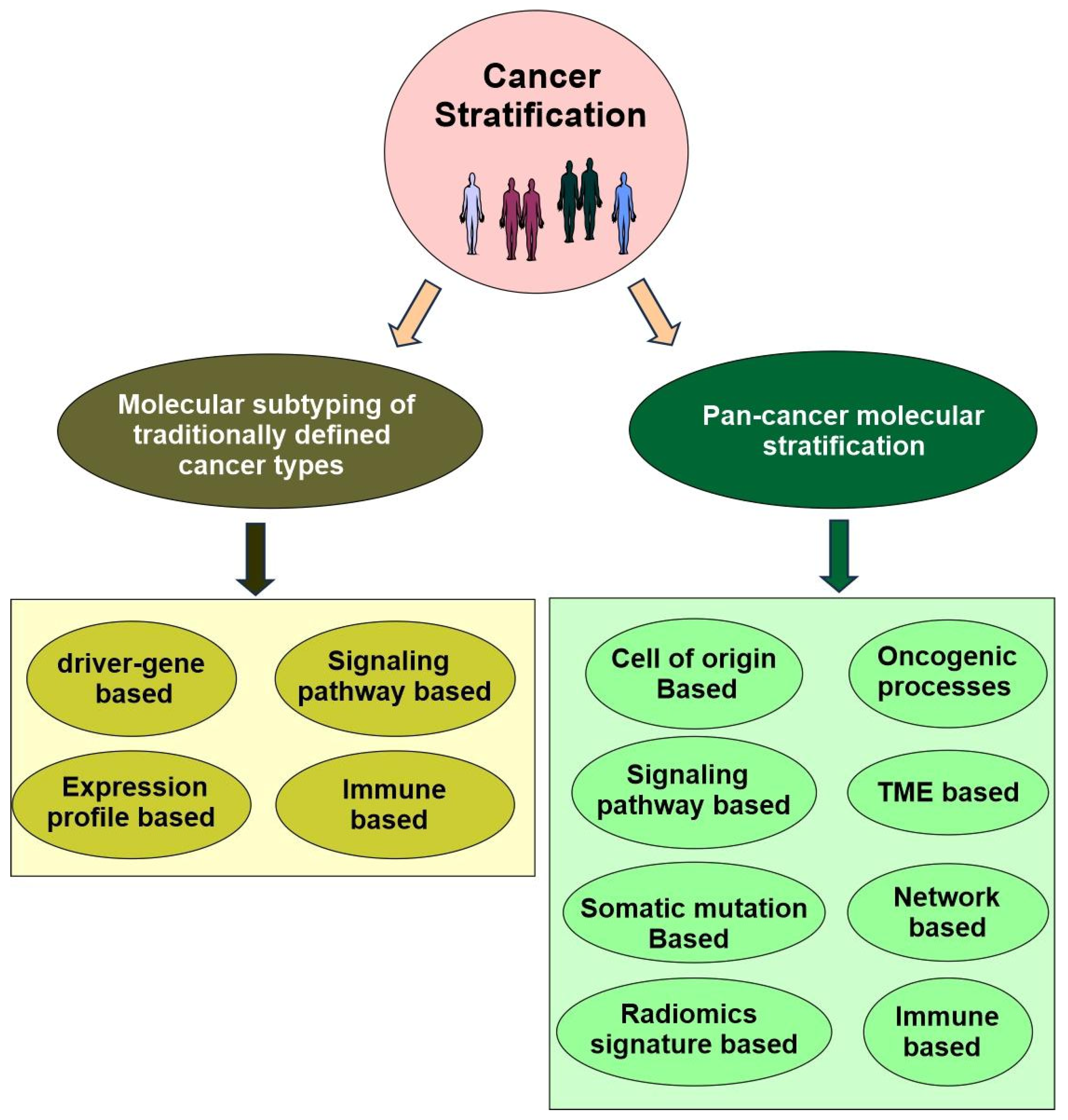 Preprints 180739 g005