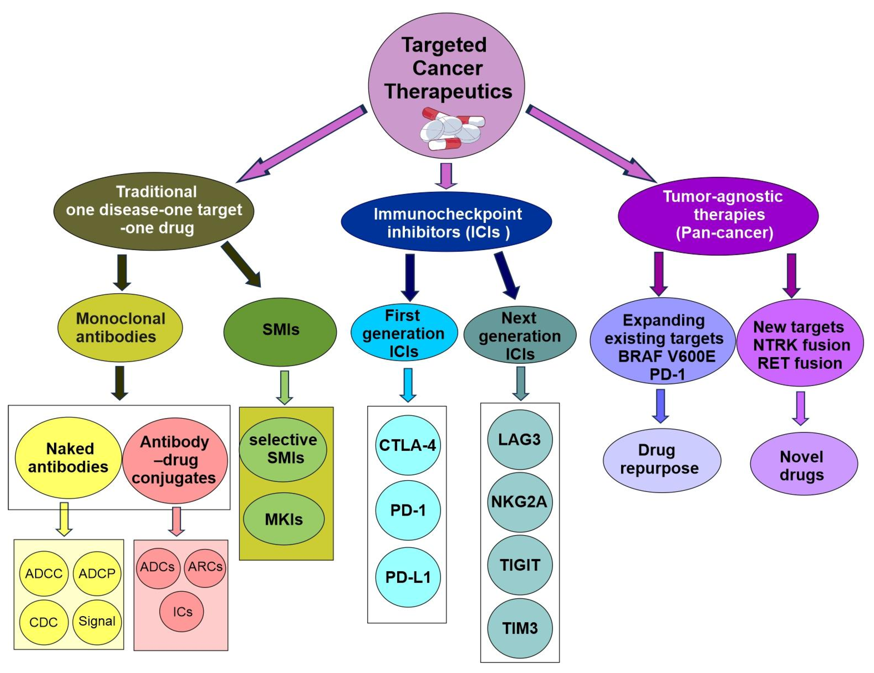 Preprints 180739 g006