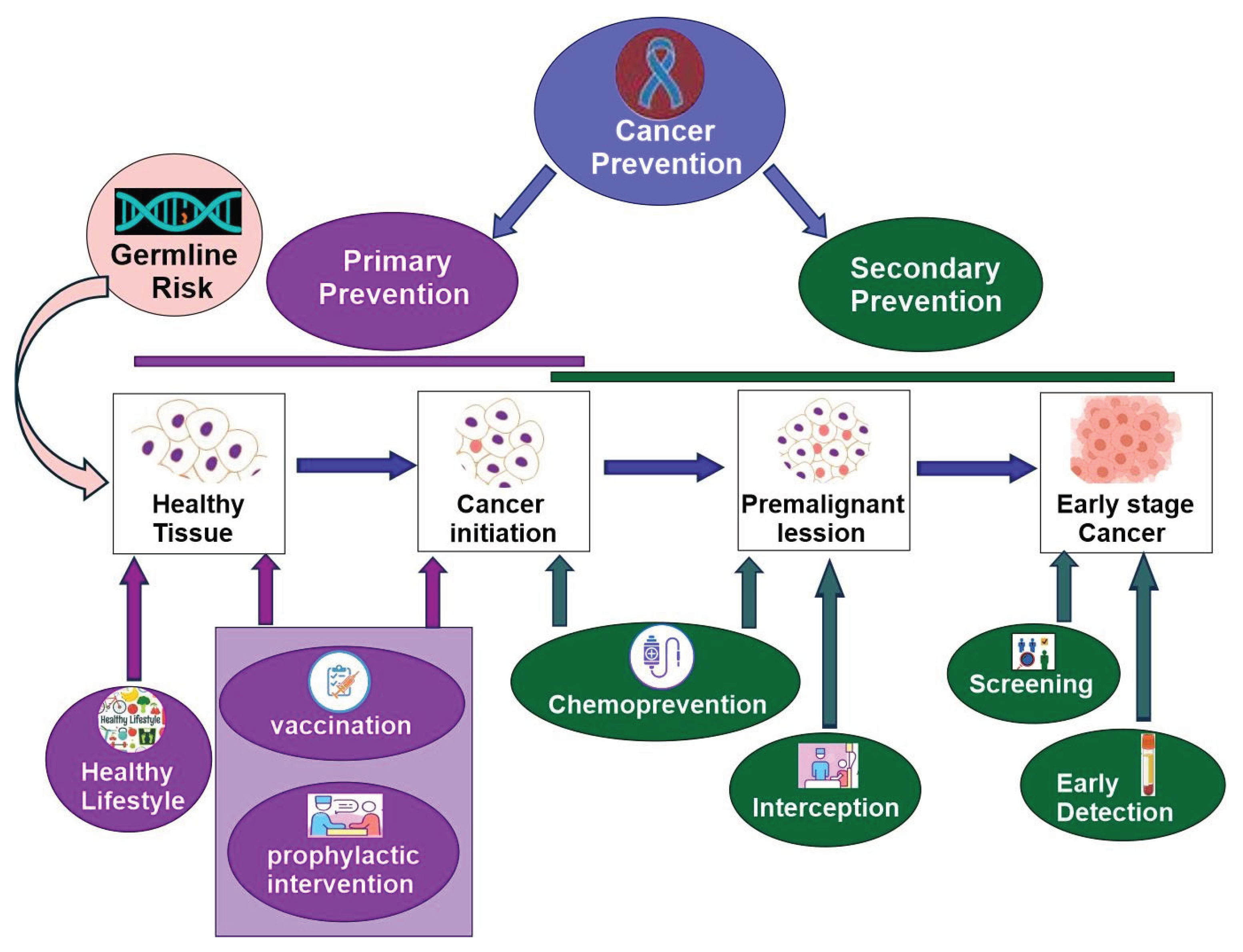 Preprints 180739 g007