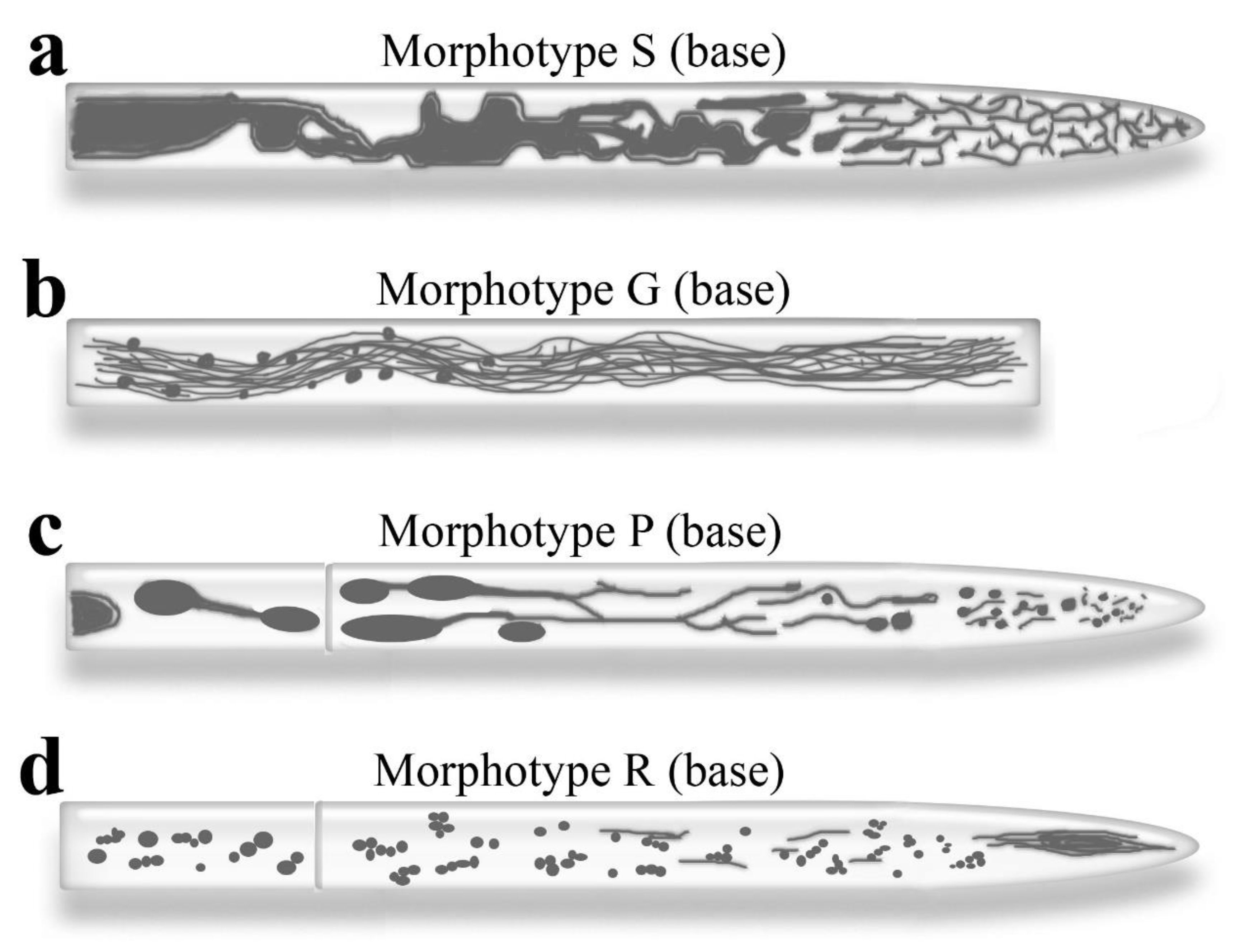Preprints 172972 g001
