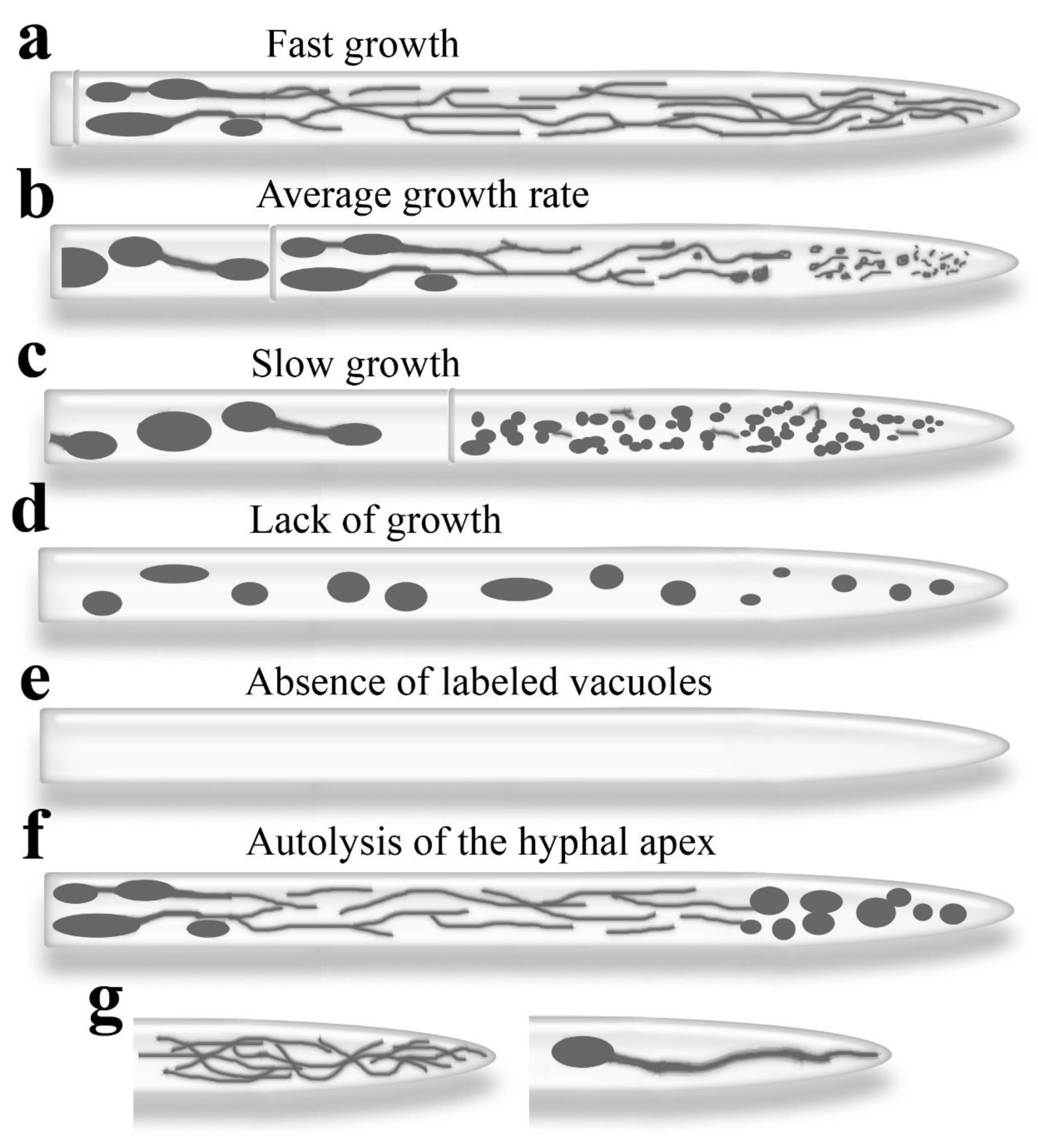 Preprints 172972 g002