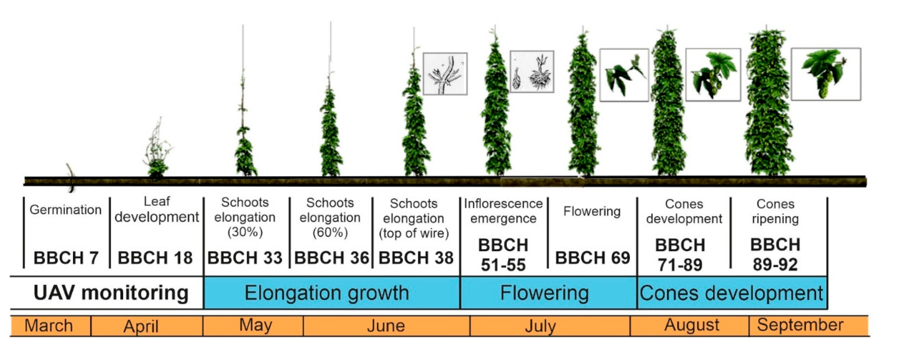 Preprints 147765 g002