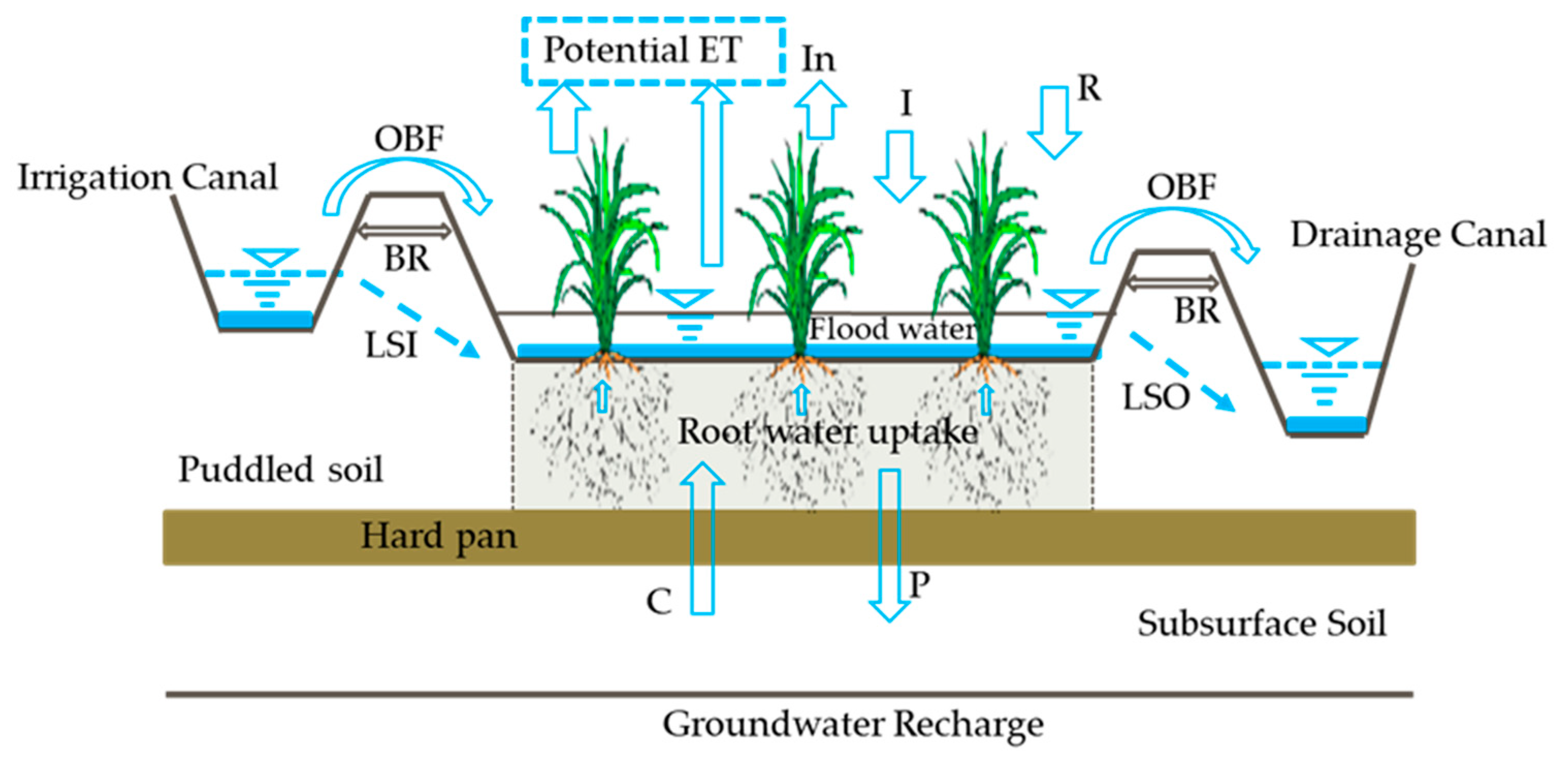 Preprints 91449 g002