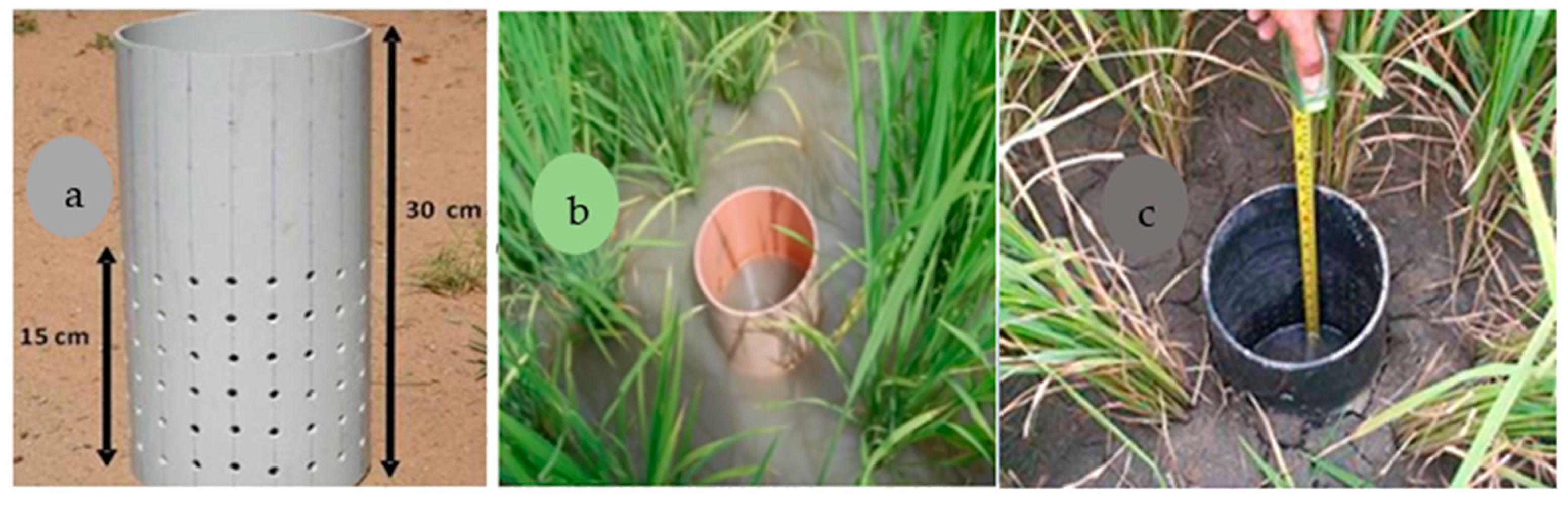 Preprints 91449 g003