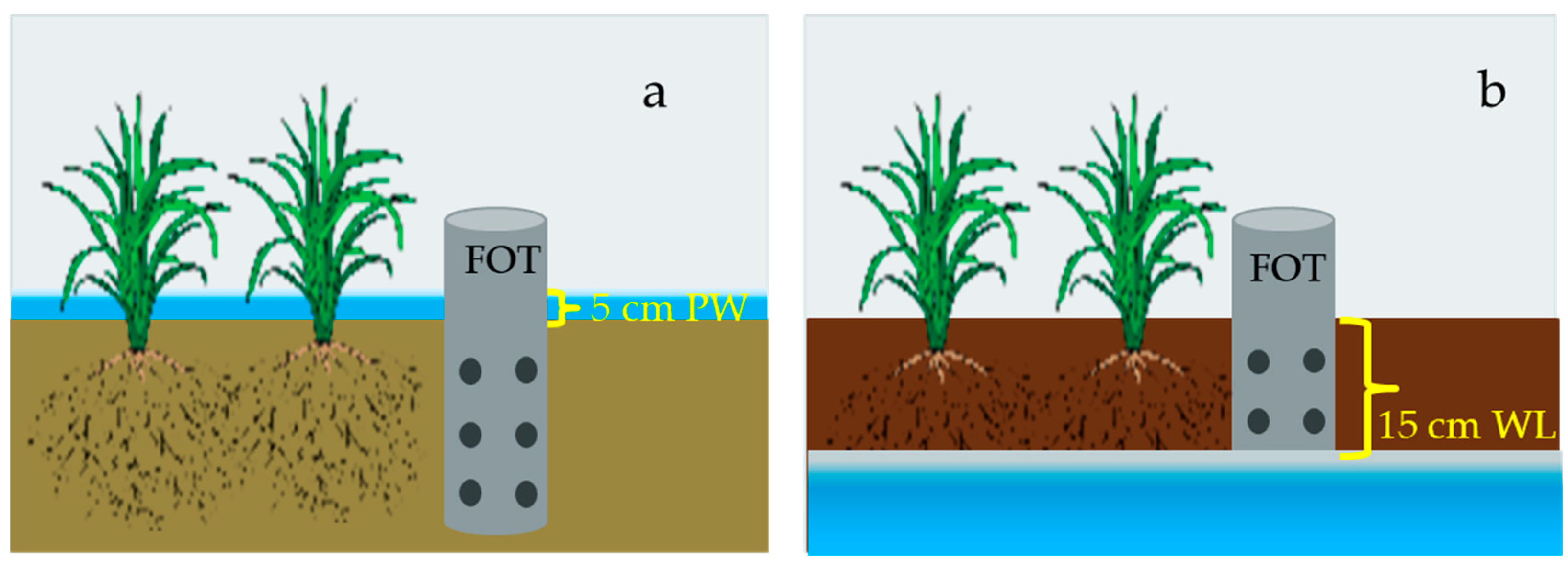 Preprints 91449 g004