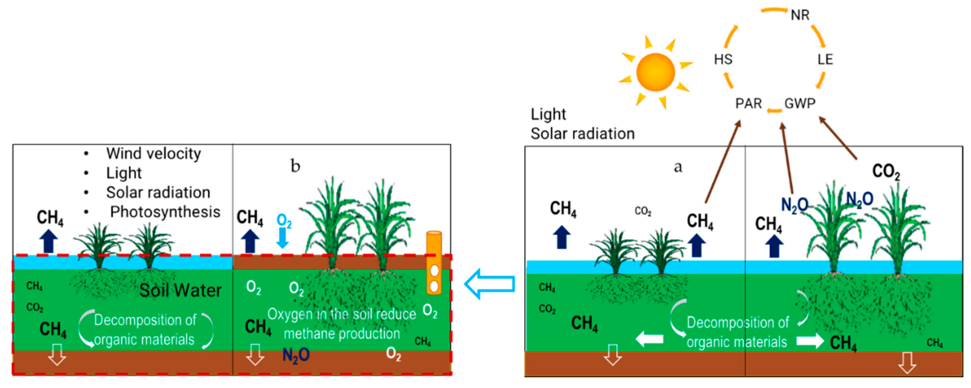 Preprints 91449 g005