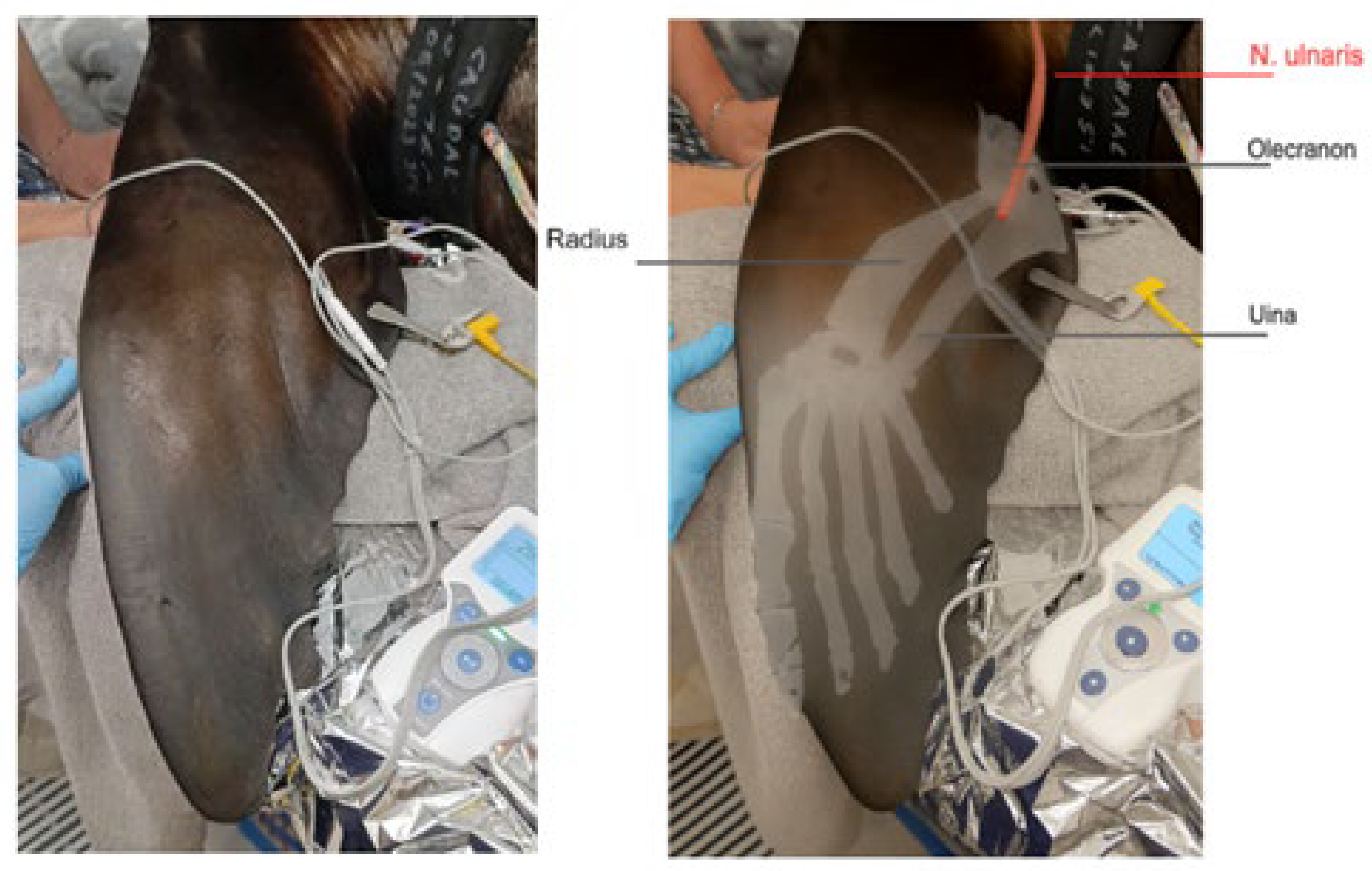 Preprints 171990 g001