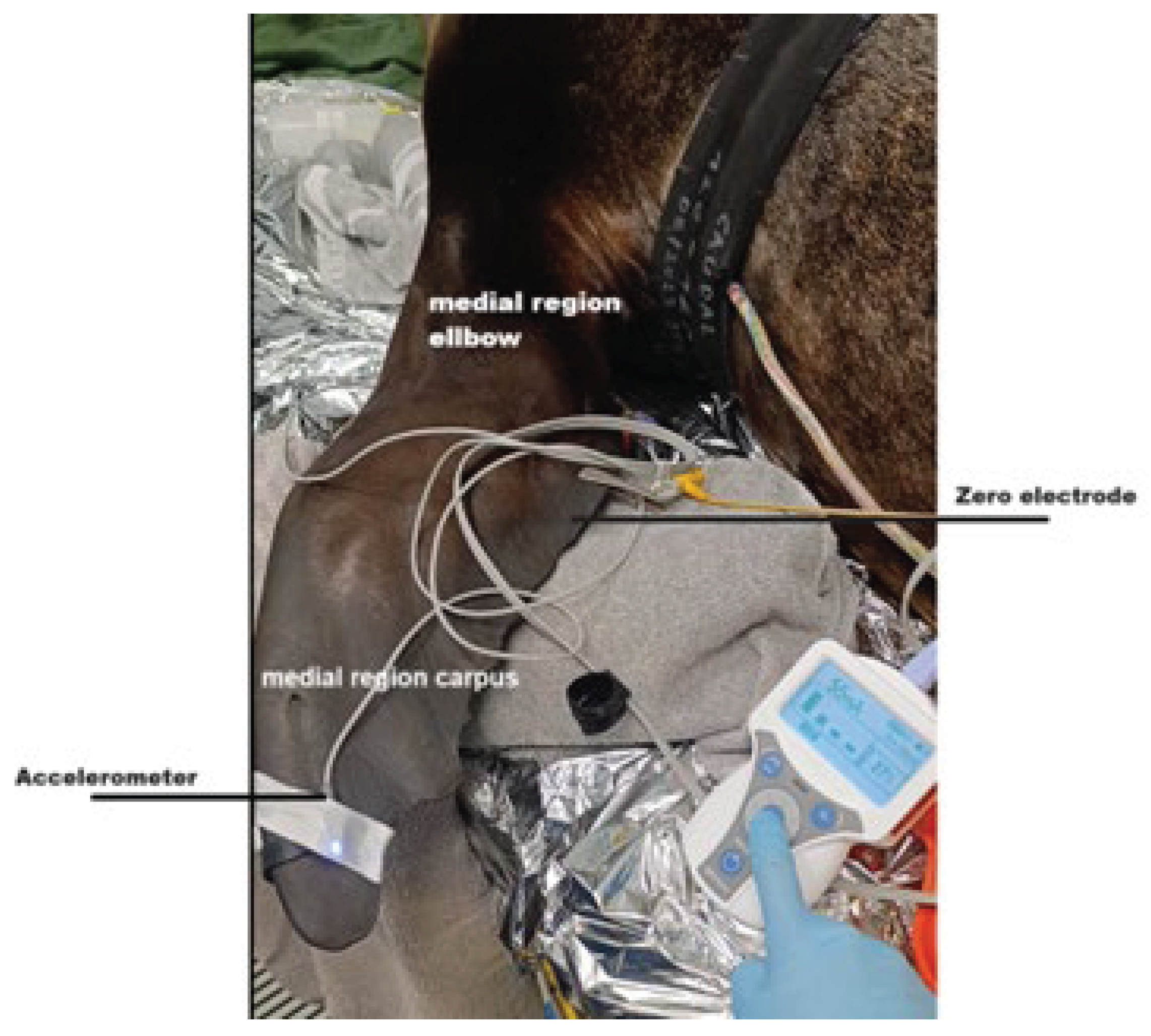 Preprints 171990 g002