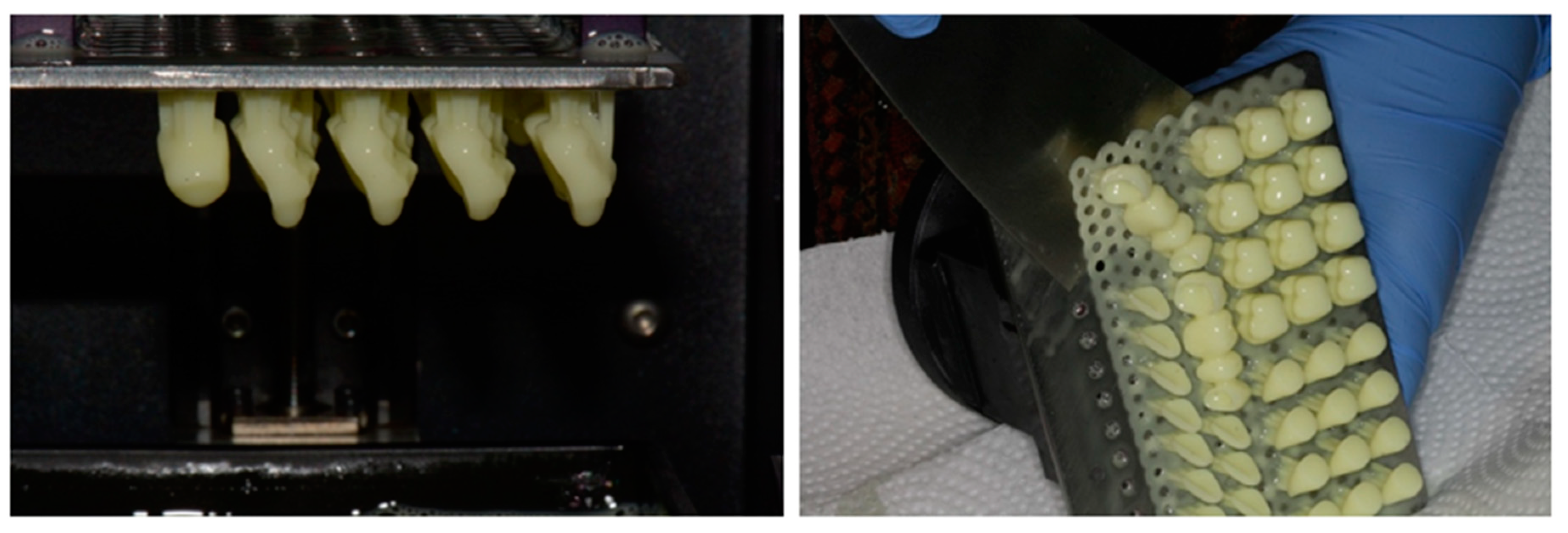 Preprints 99644 g007