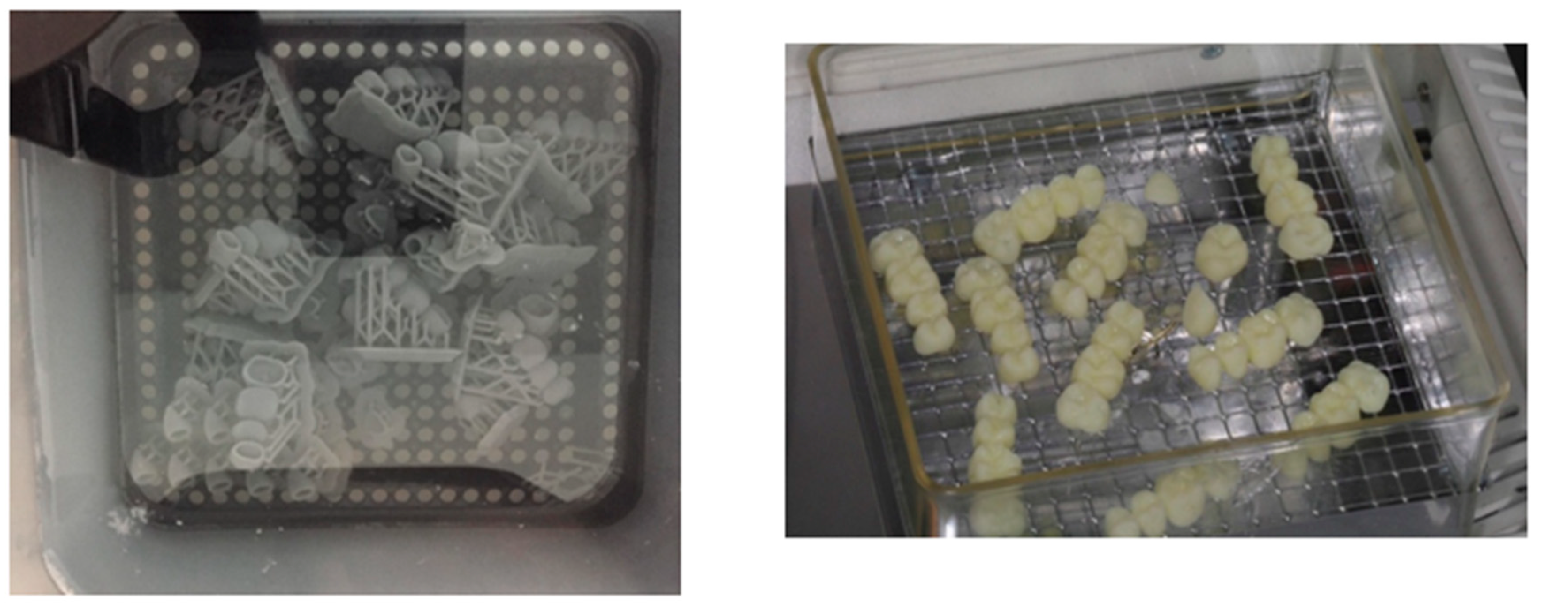 Preprints 99644 g010