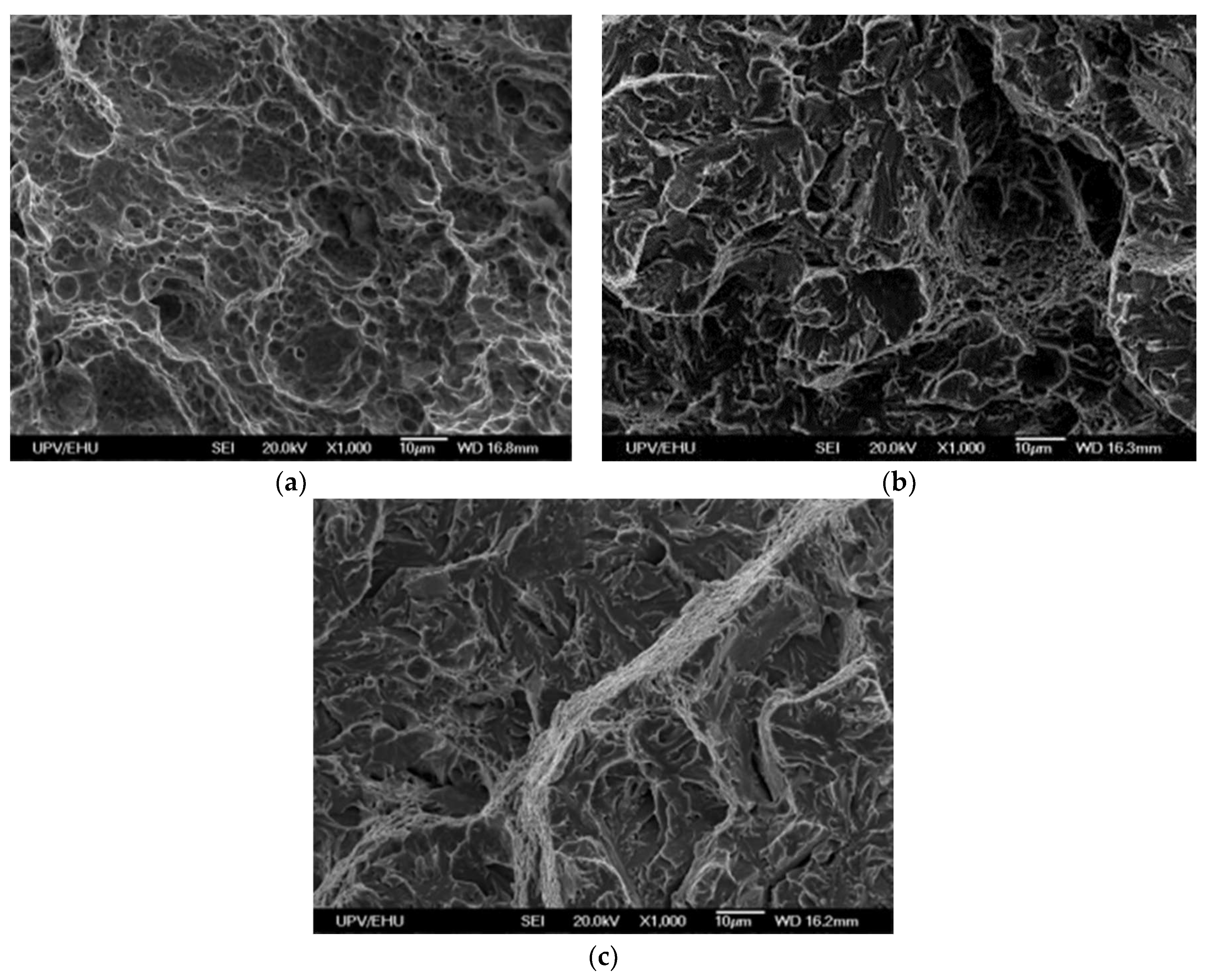 Preprints 122133 g003