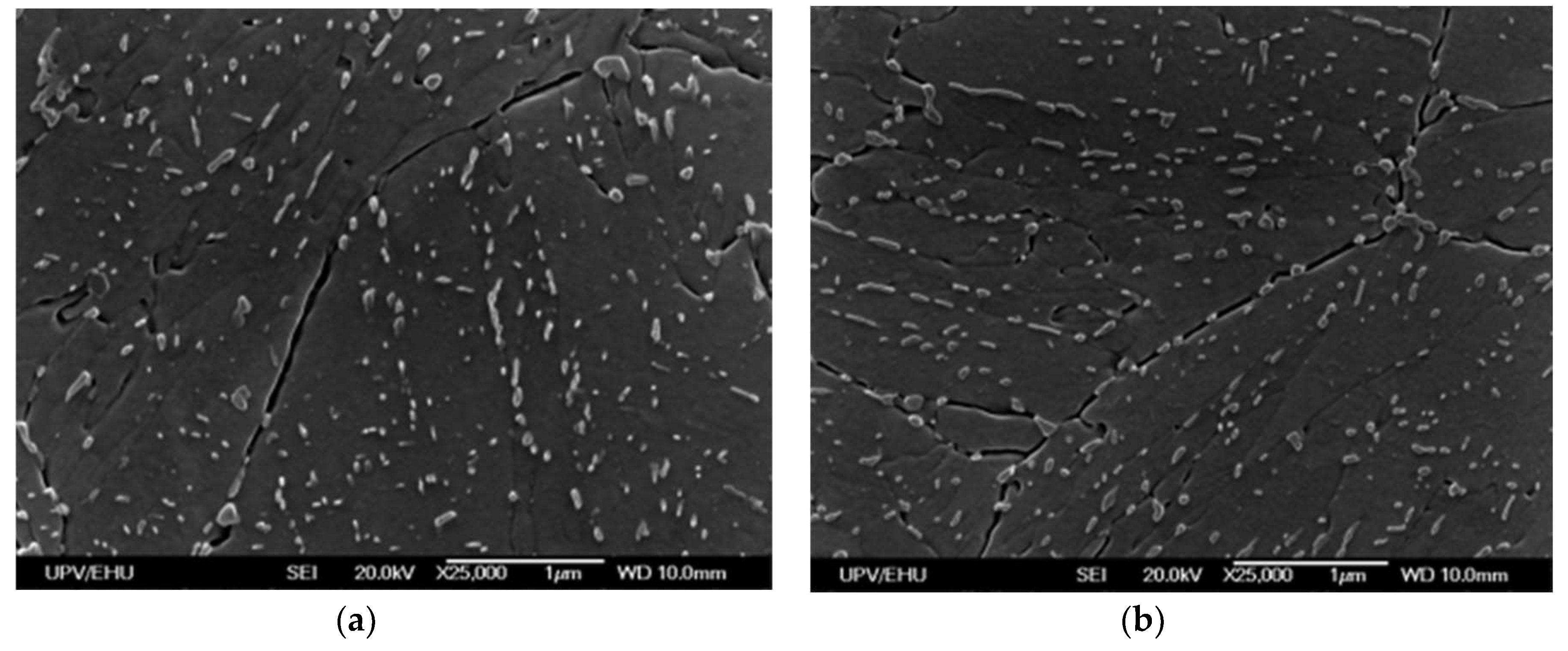 Preprints 122133 g004