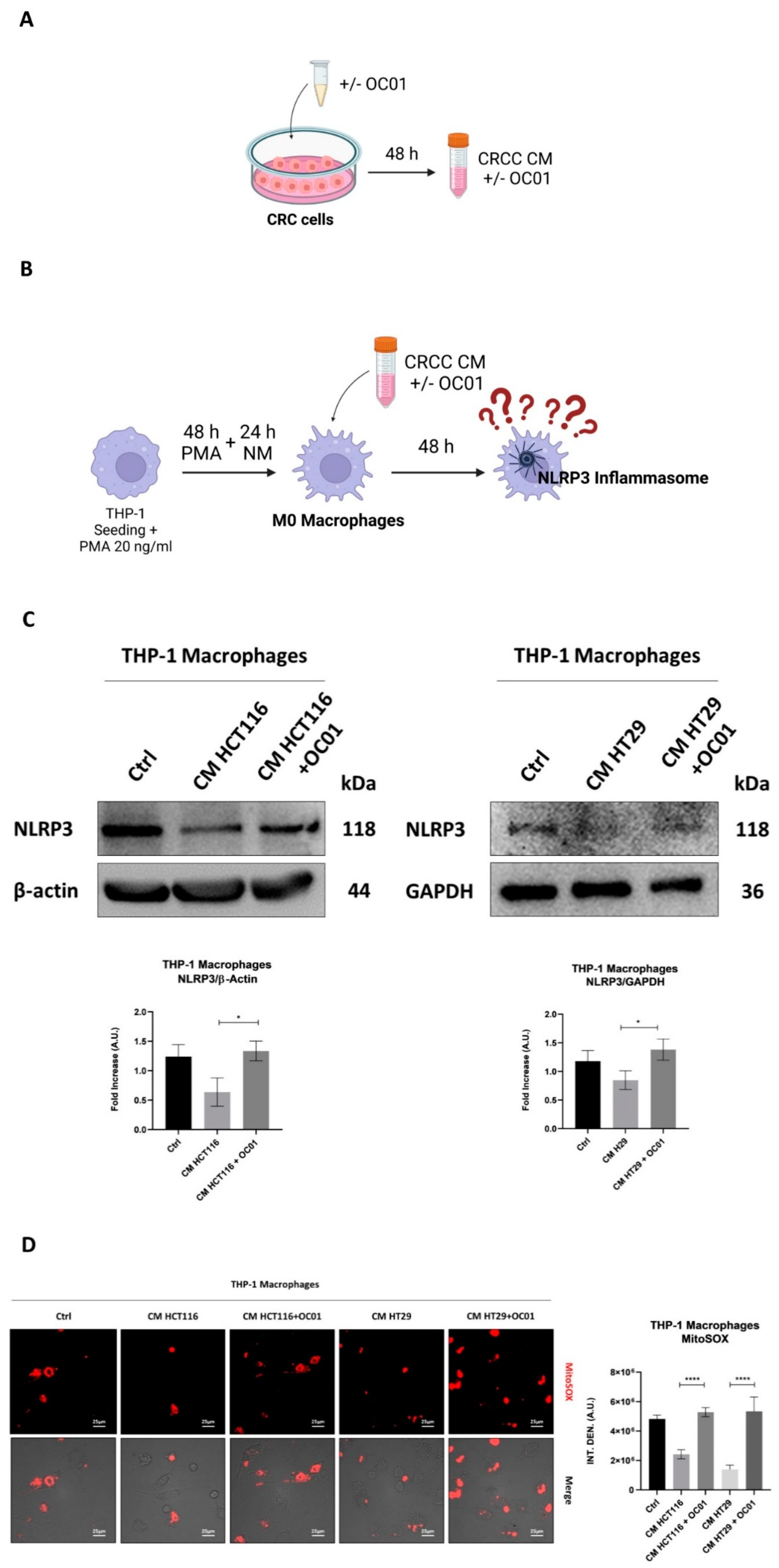 Preprints 146474 g002