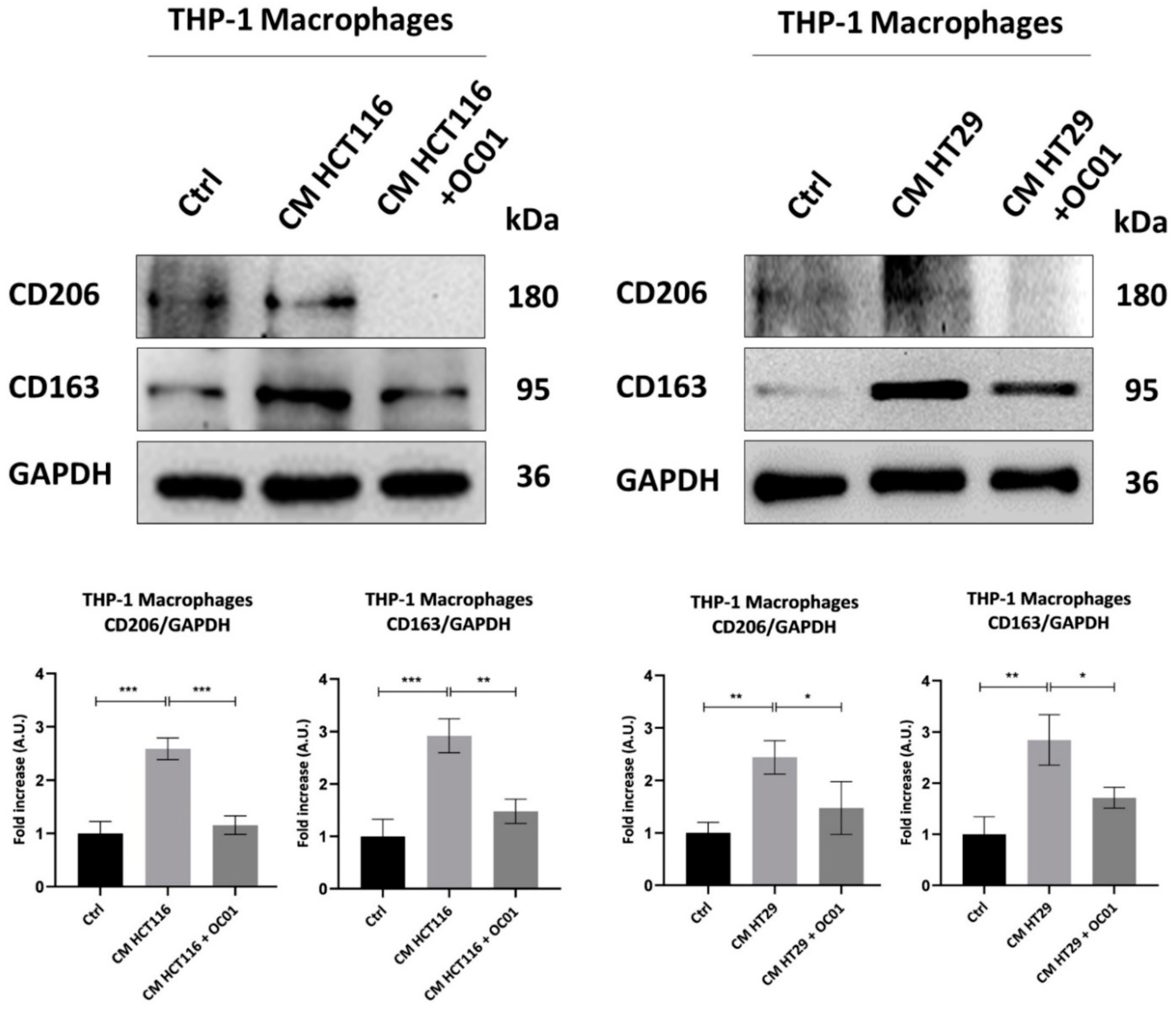 Preprints 146474 g004