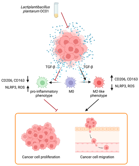 Preprints 146474 i001