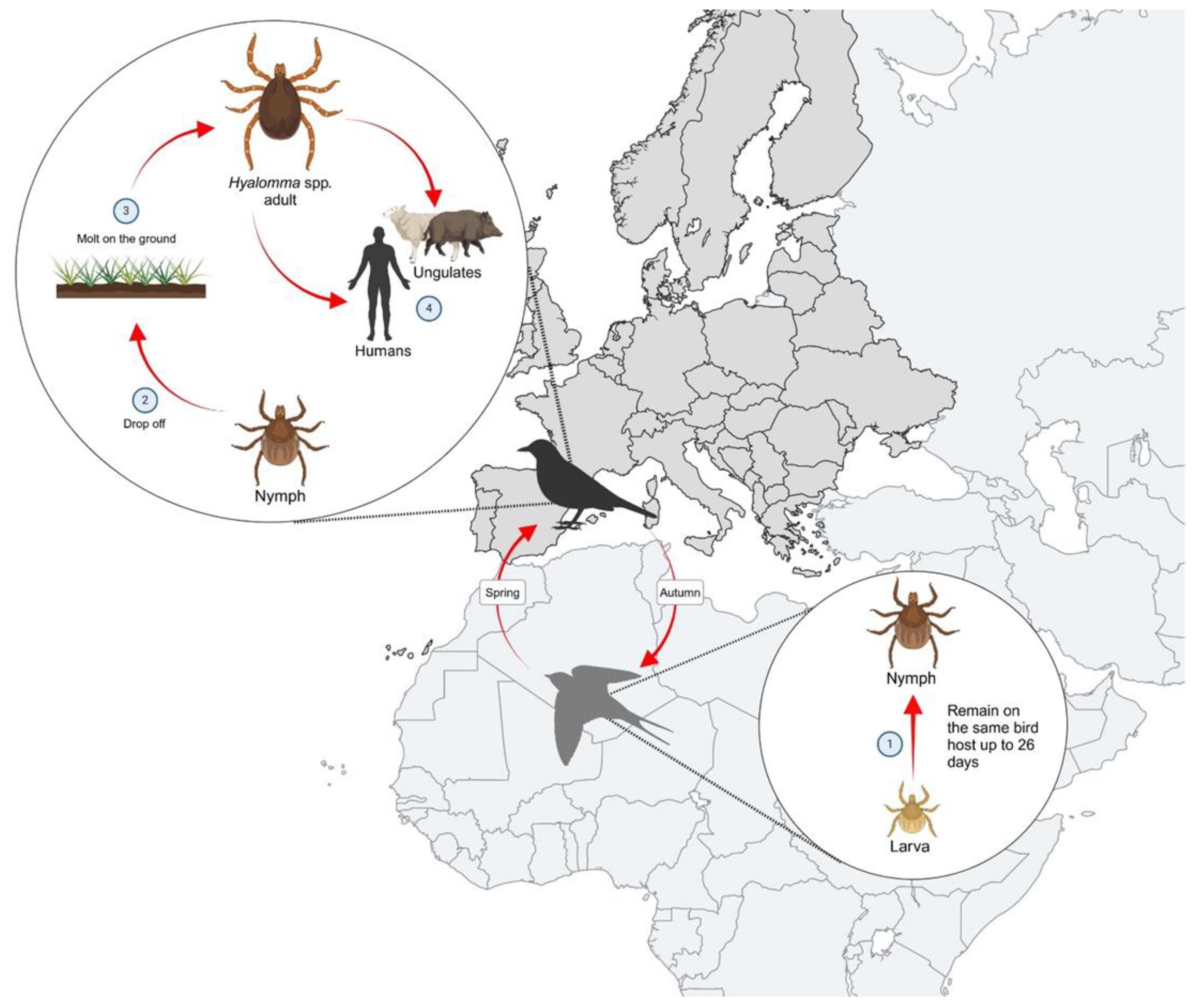 Preprints 159215 g003