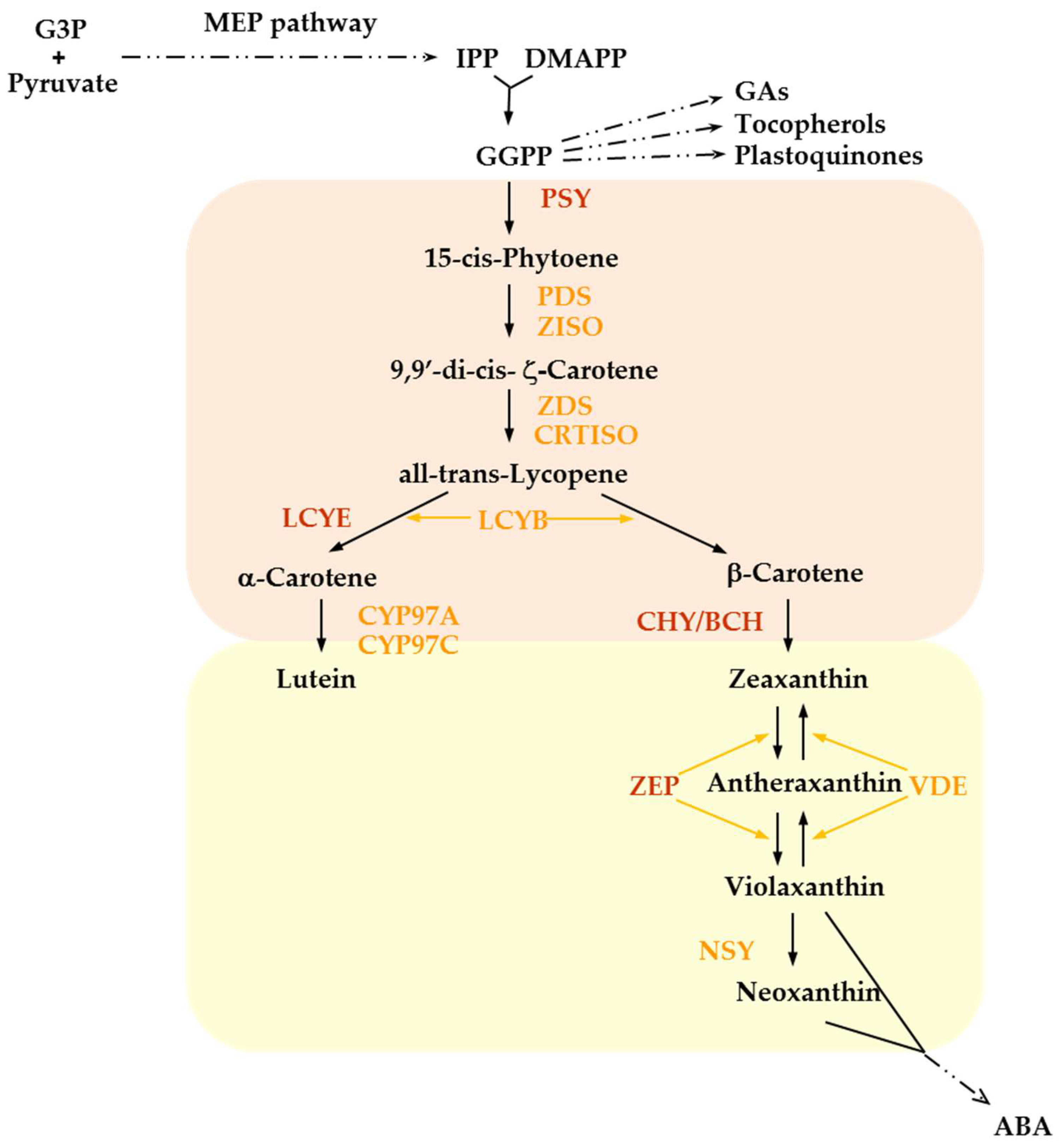Preprints 139628 g001