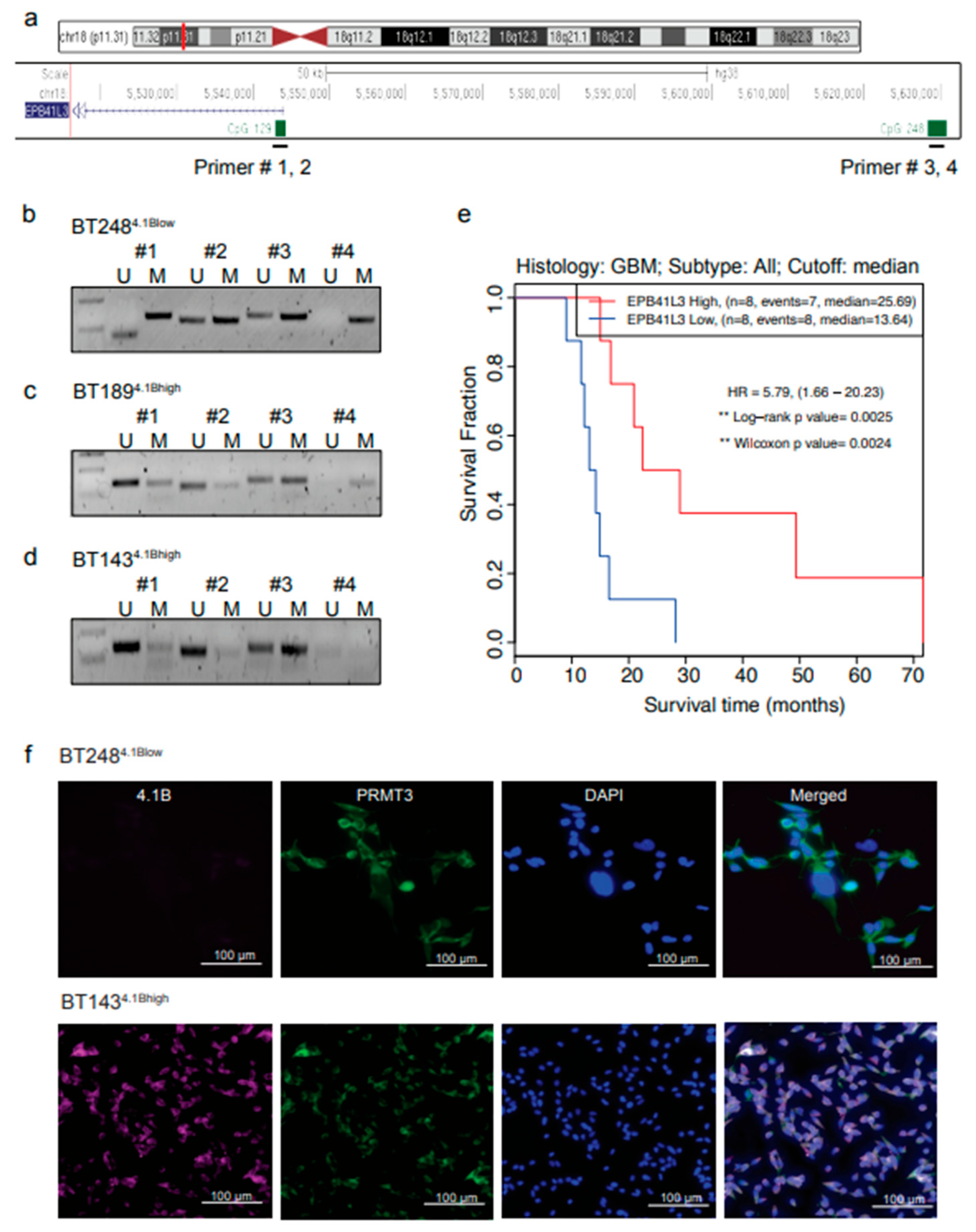 Preprints 160802 g002
