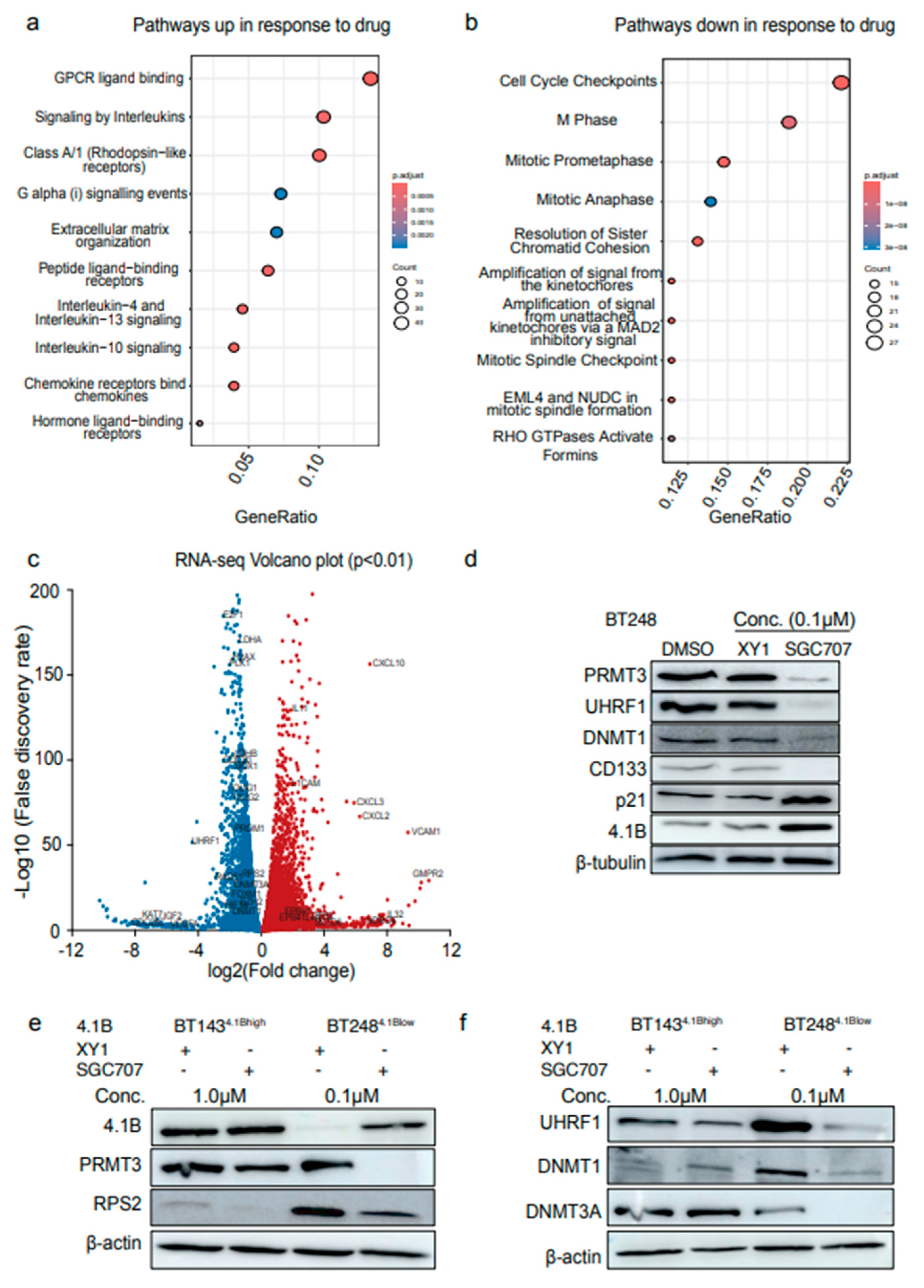 Preprints 160802 g003