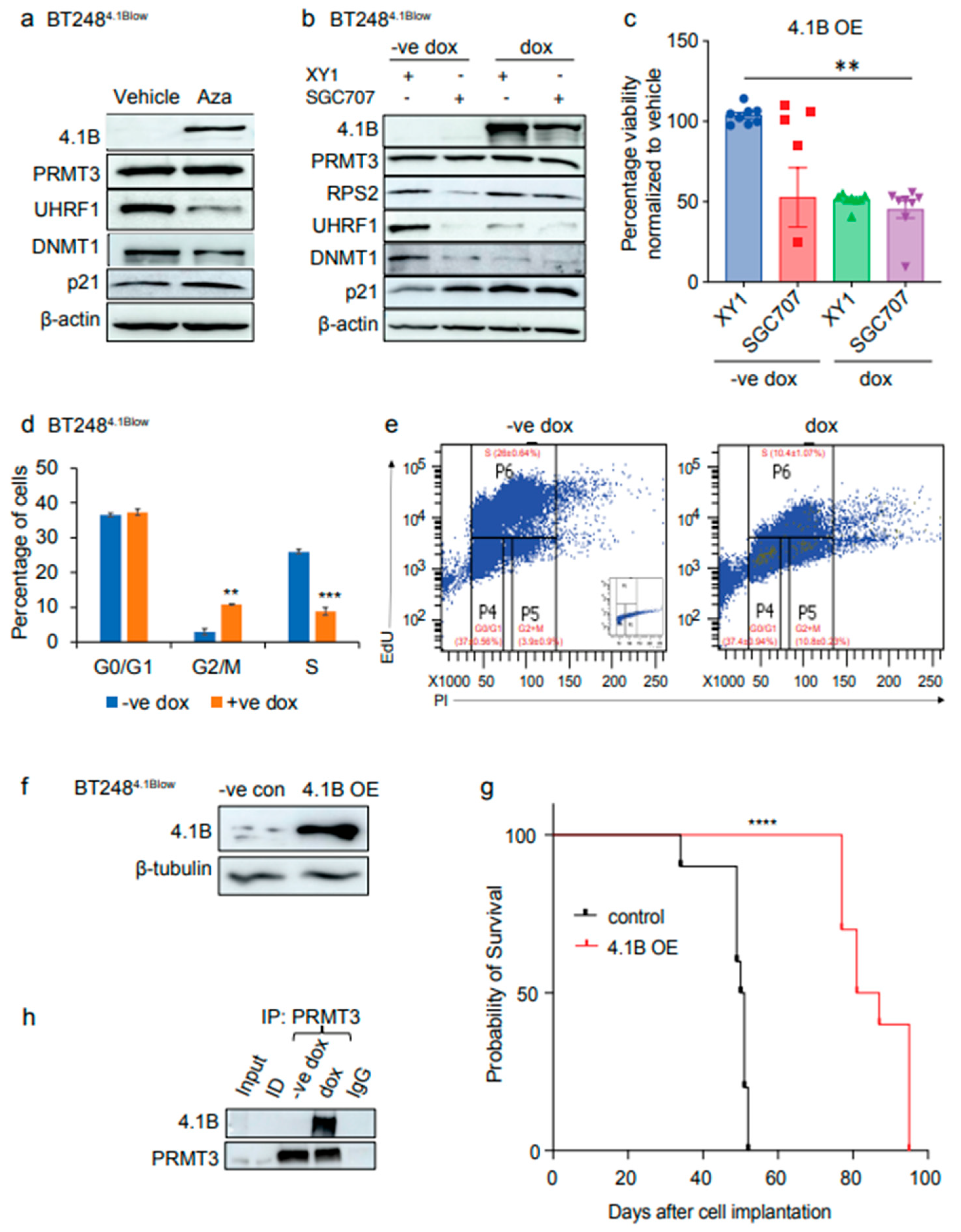 Preprints 160802 g004