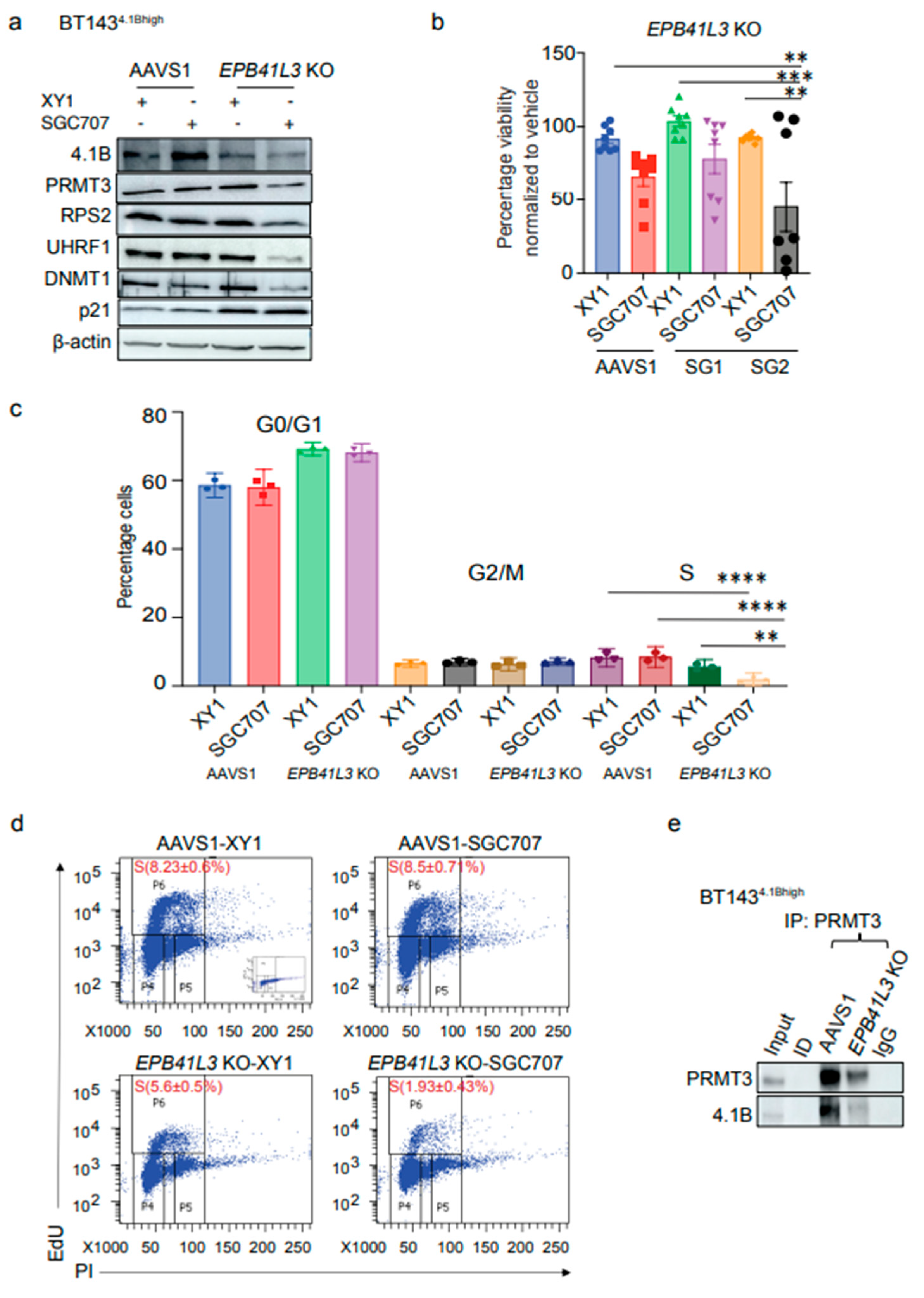 Preprints 160802 g005