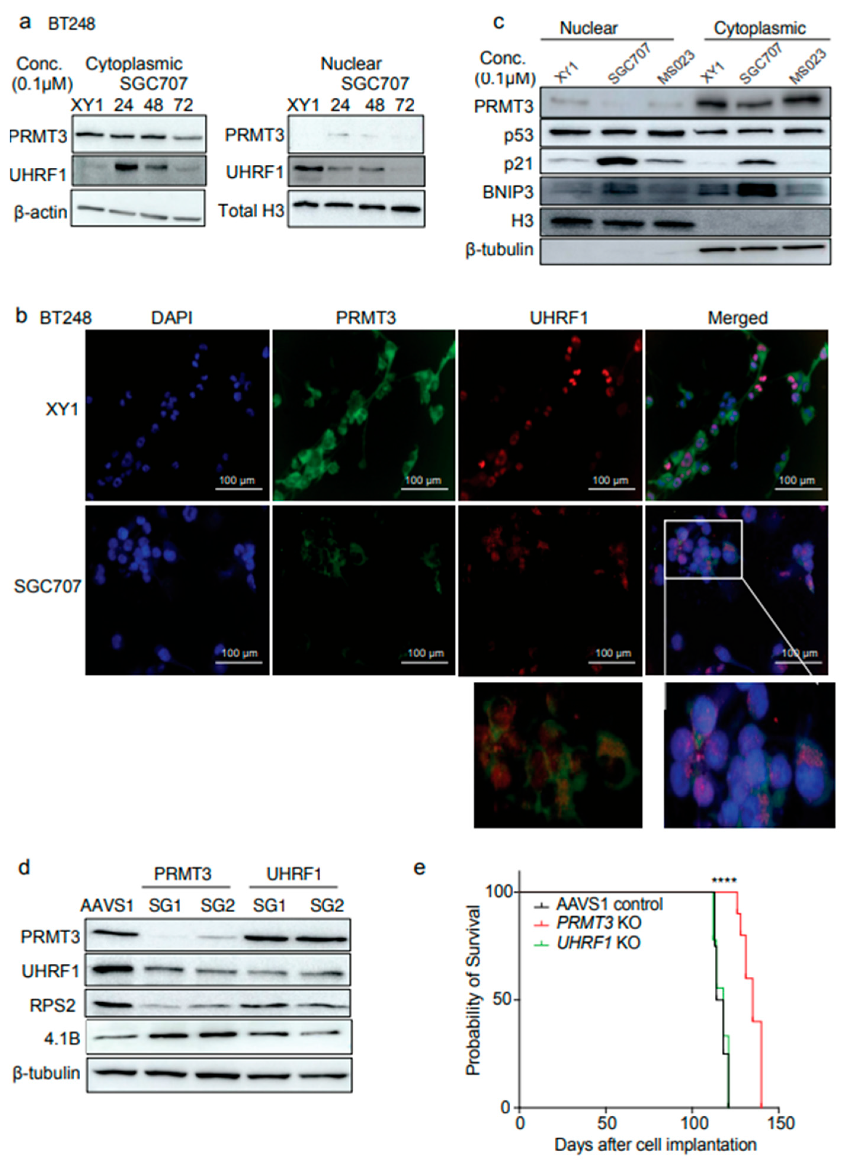 Preprints 160802 g006