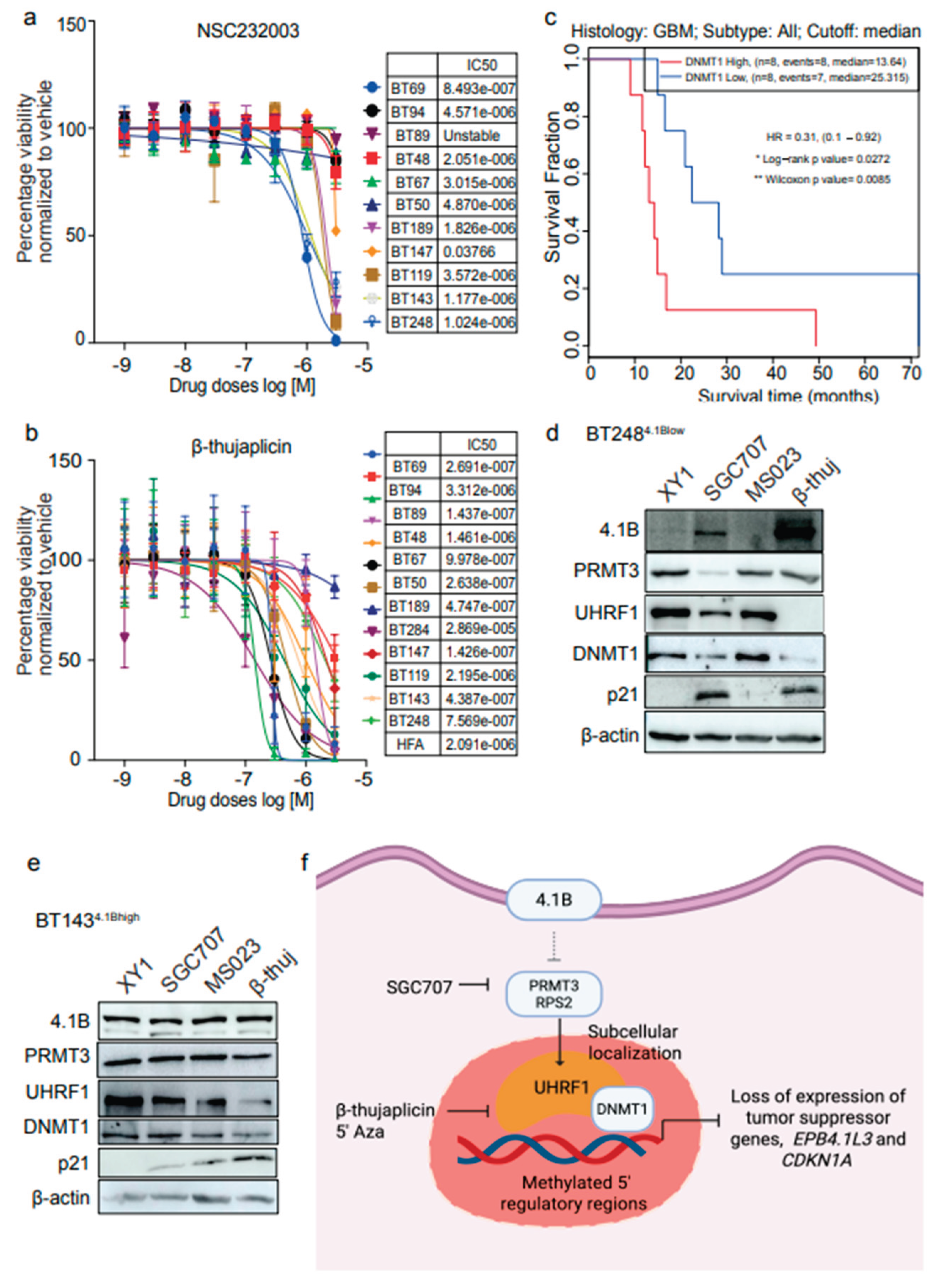 Preprints 160802 g007