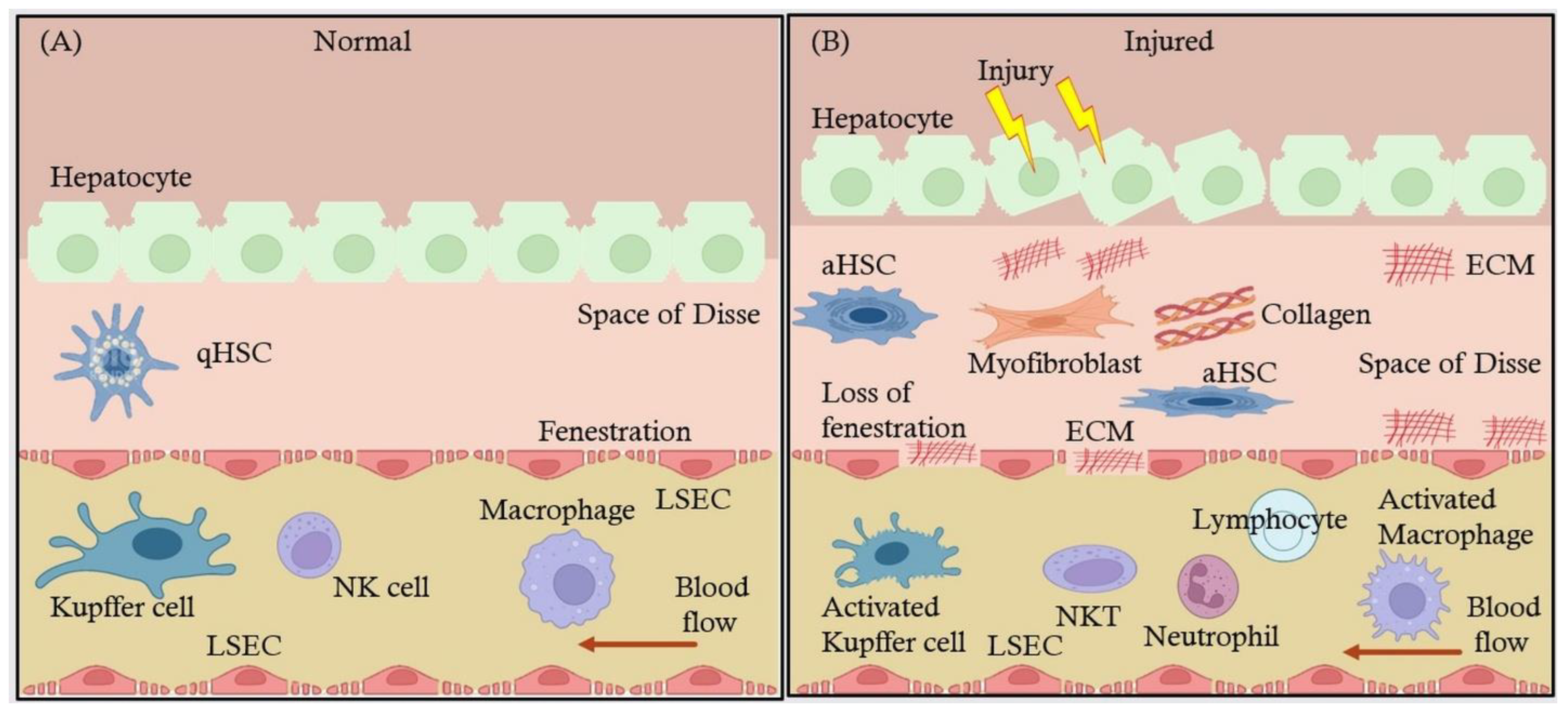 Preprints 144513 g001