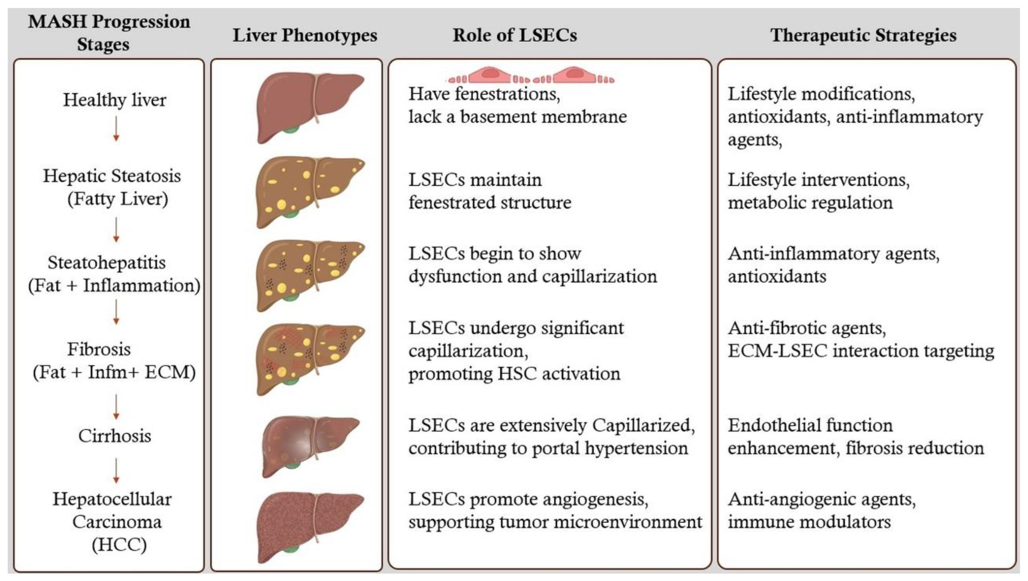 Preprints 144513 g002