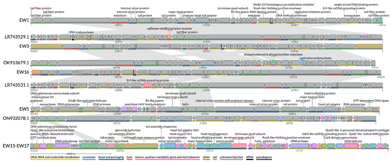 Preprints 235174 g003