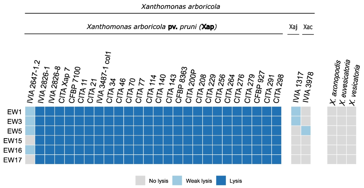 Preprints 235174 g005
