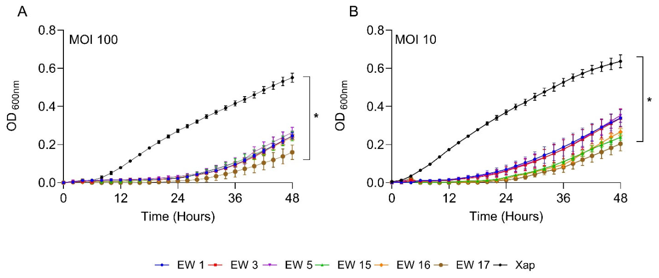 Preprints 235174 g006