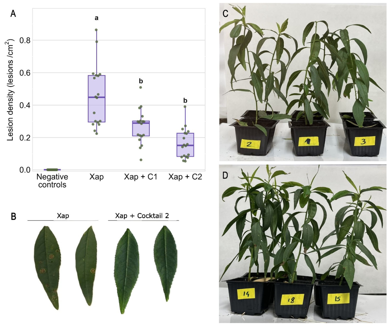 Preprints 235174 g010